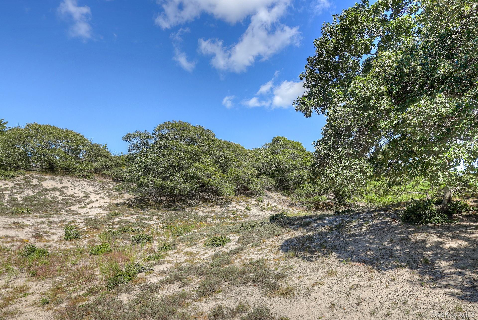 Single Family Cliff Road  Suffolk County, NY 11930, MLS-1045420-23