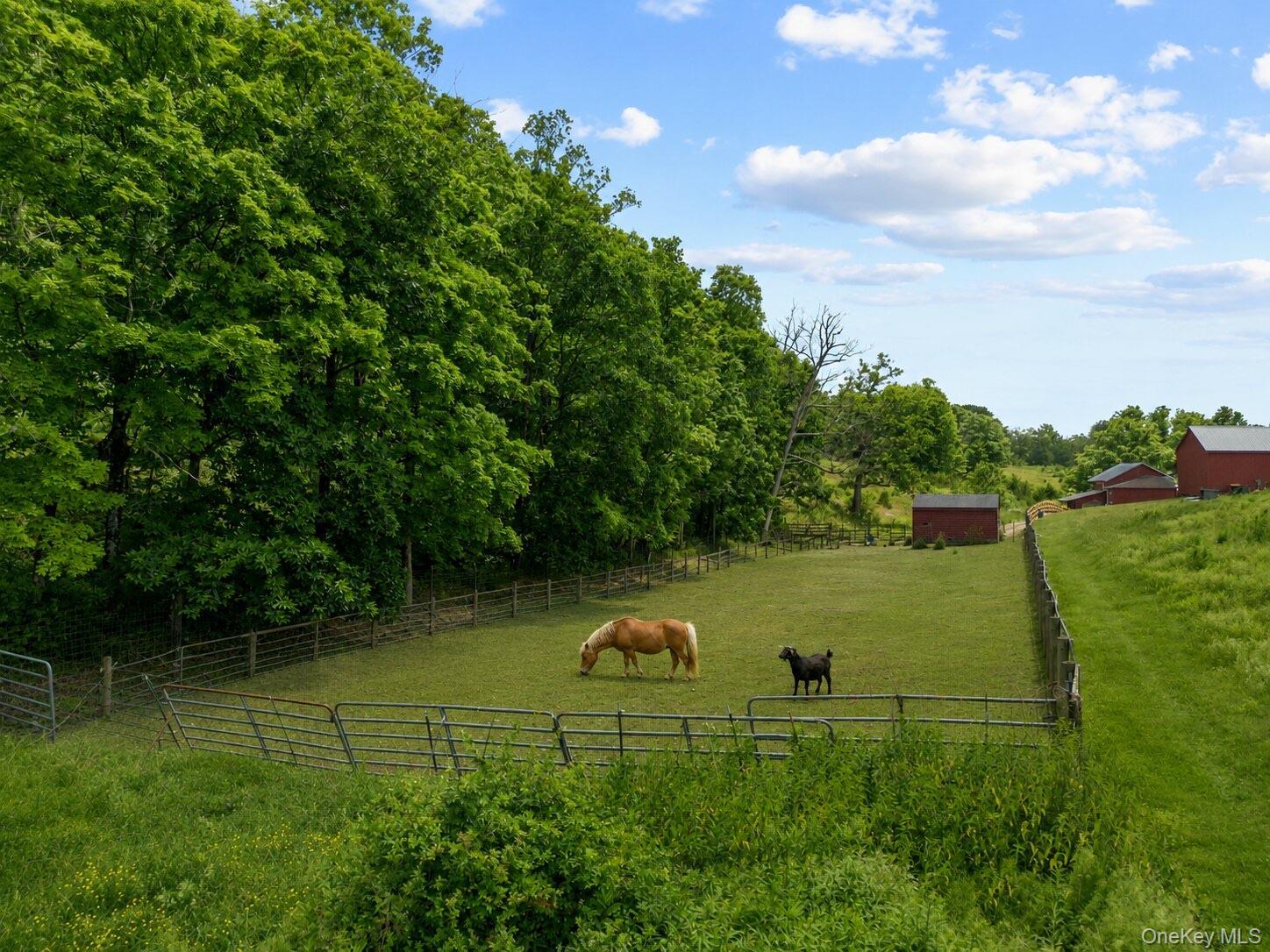 Single Family N Creek Road Dutchess County, NY 12580, MLS-1045445-32