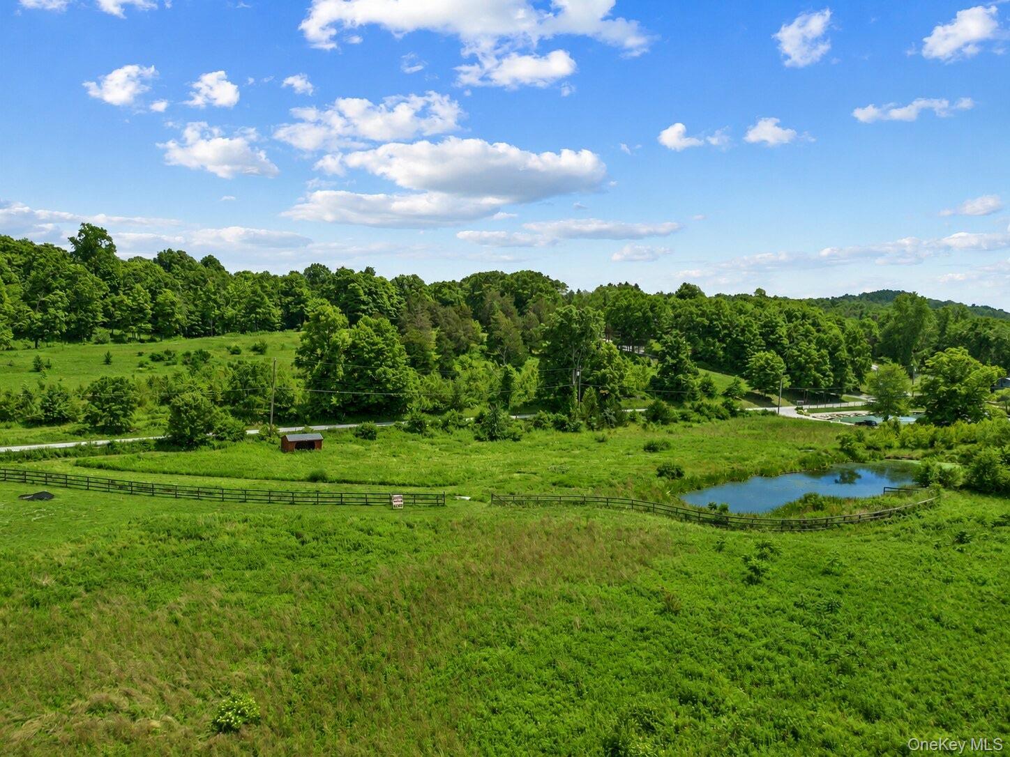 Single Family N Creek Road Dutchess County, NY 12580, MLS-1045445-33