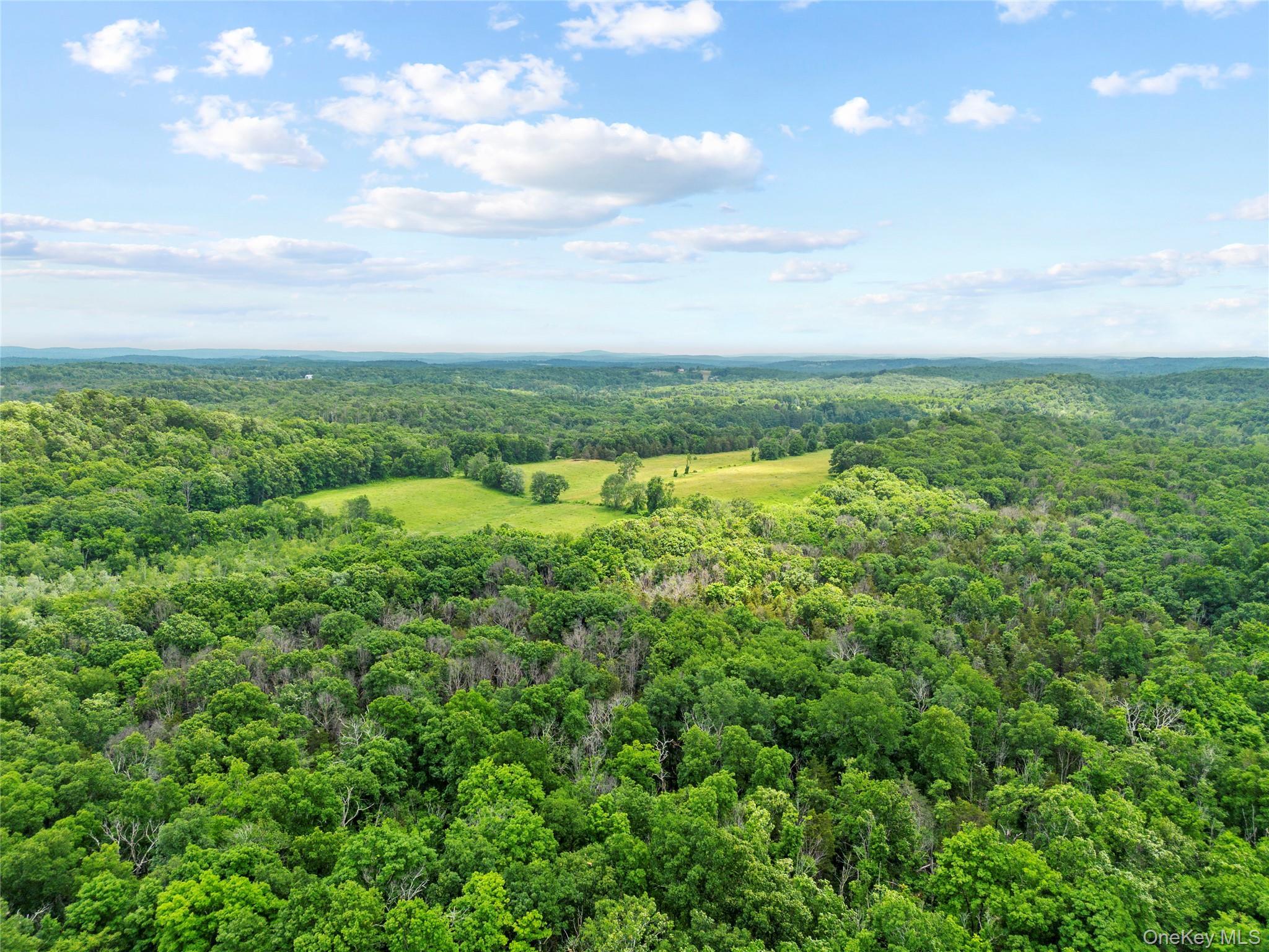 Single Family N Creek Road Dutchess County, NY 12580, MLS-1045445-34