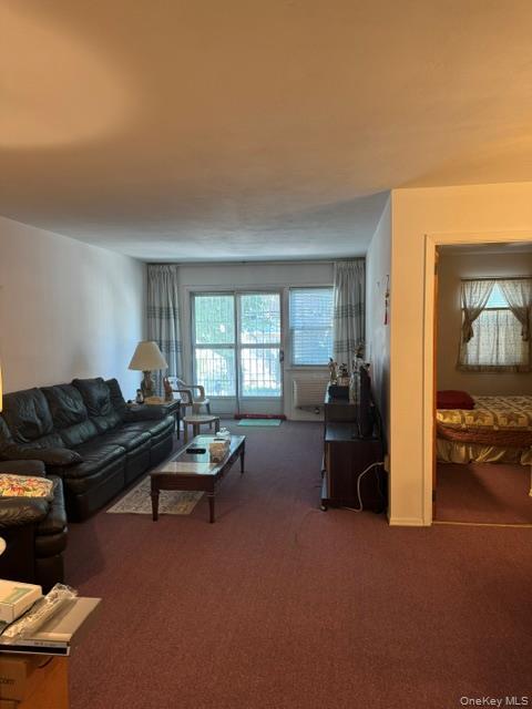 Single Family 92nd Street  Queens, NY 11373, MLS-1045450-7