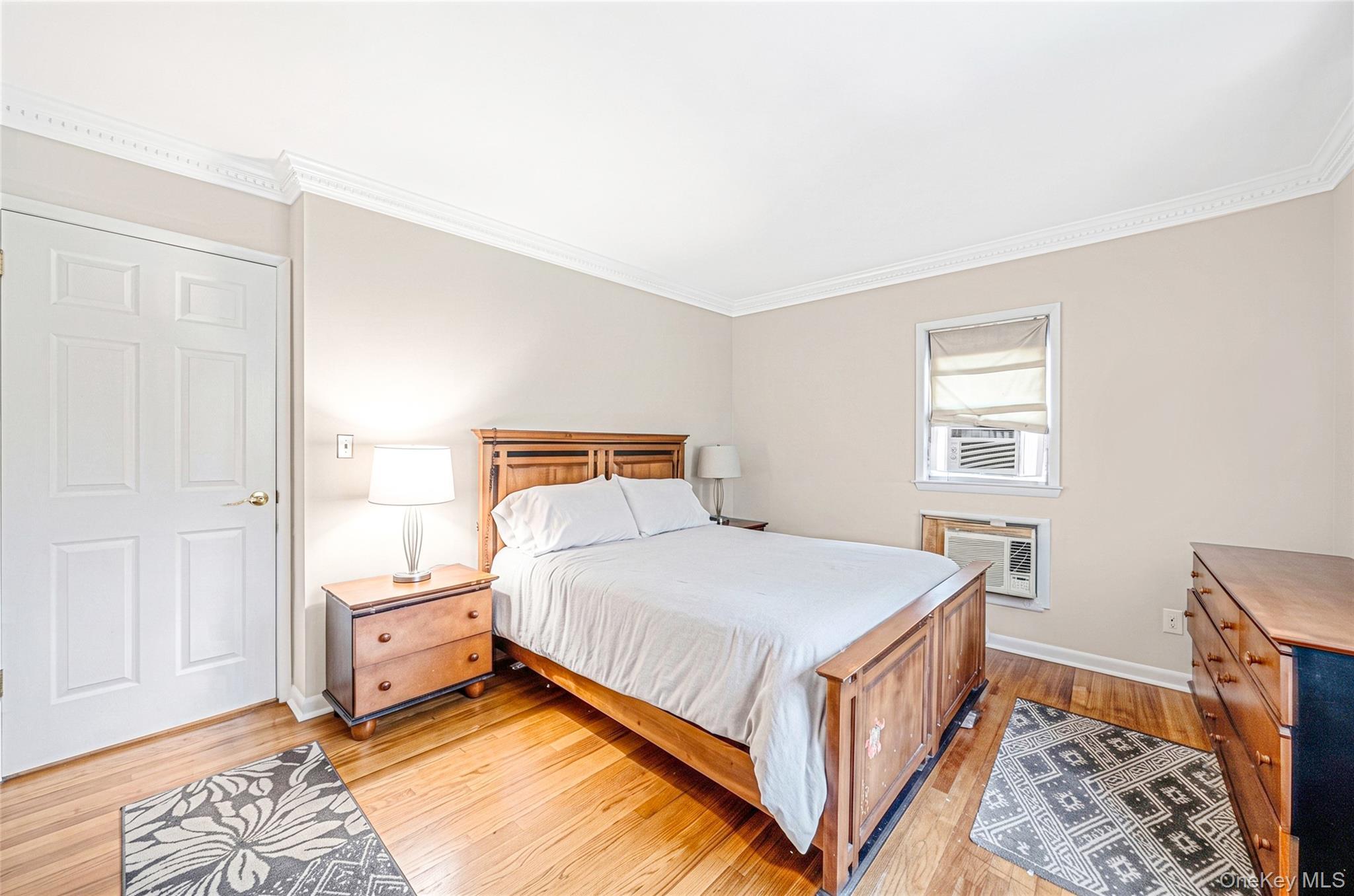 Single Family N Walnut Street  Nassau County, NY 11758, MLS-1045460-14