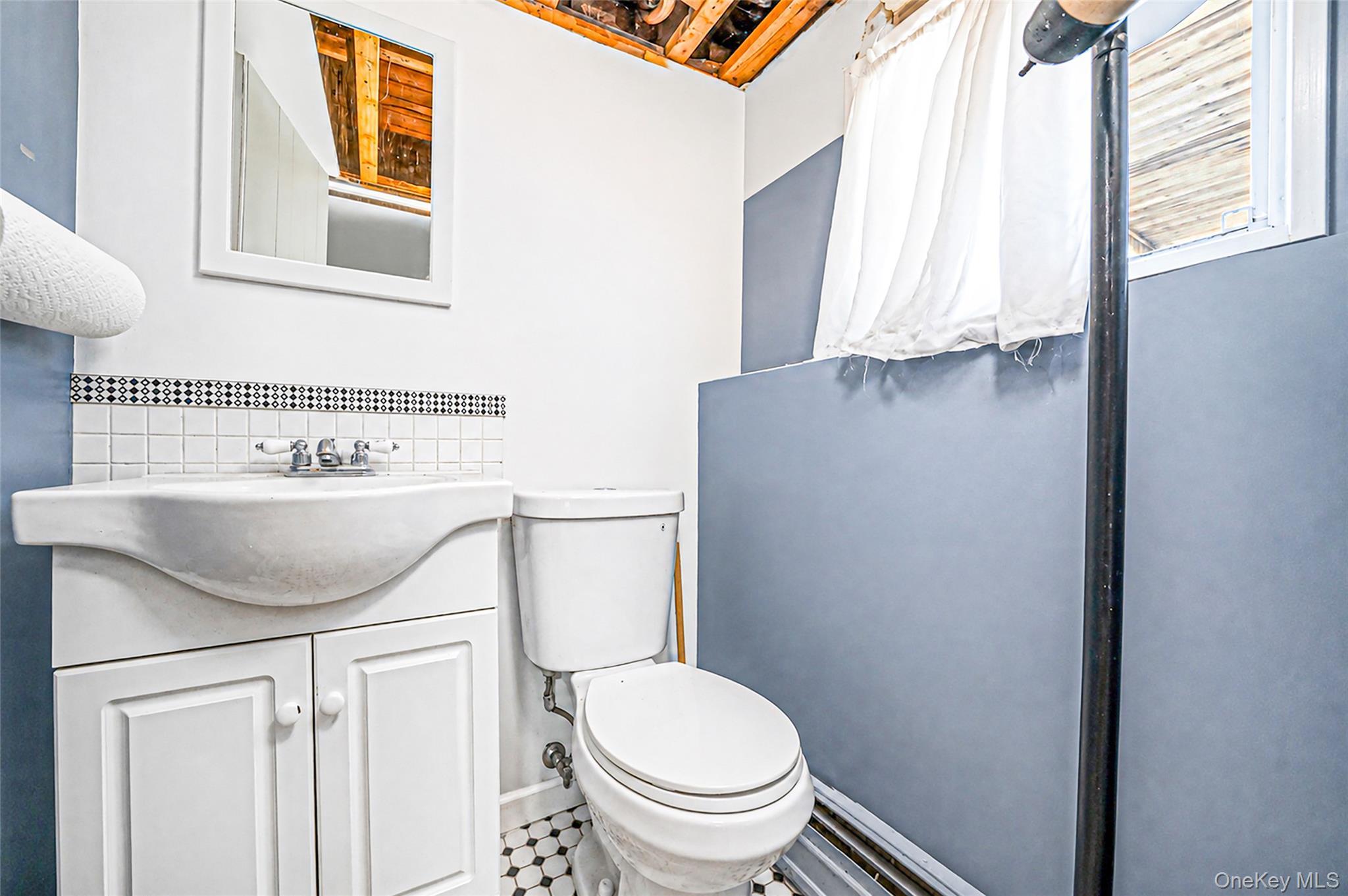 Single Family N Walnut Street  Nassau County, NY 11758, MLS-1045460-19