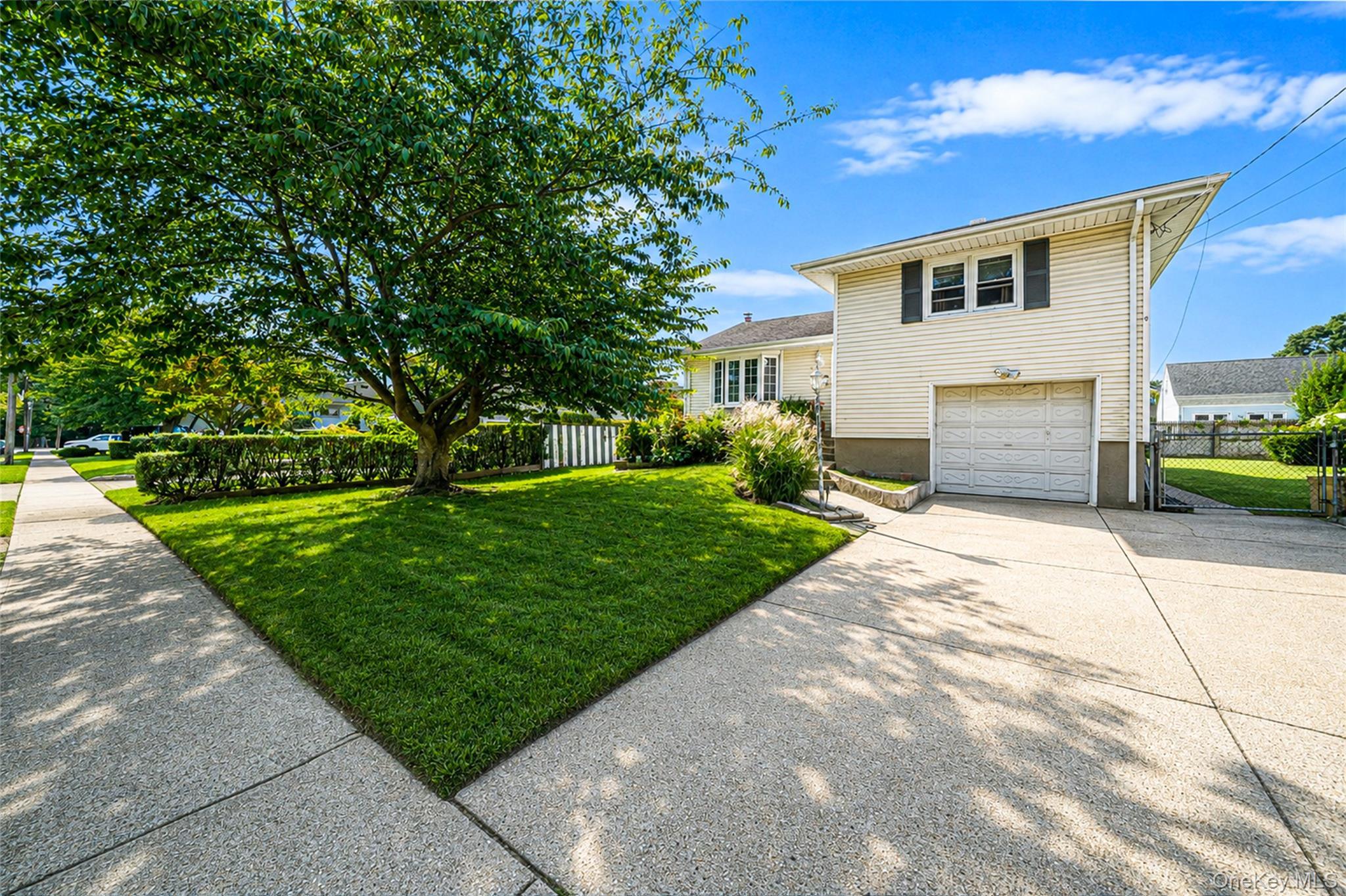 Single Family N Walnut Street  Nassau County, NY 11758, MLS-1045460-2