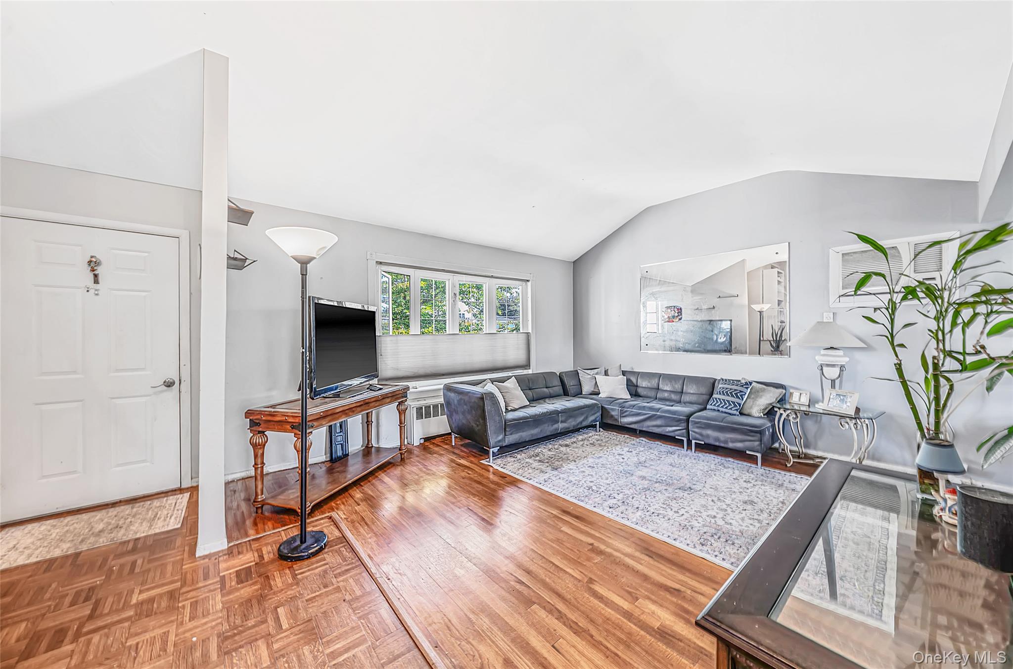 Single Family N Walnut Street  Nassau County, NY 11758, MLS-1045460-3