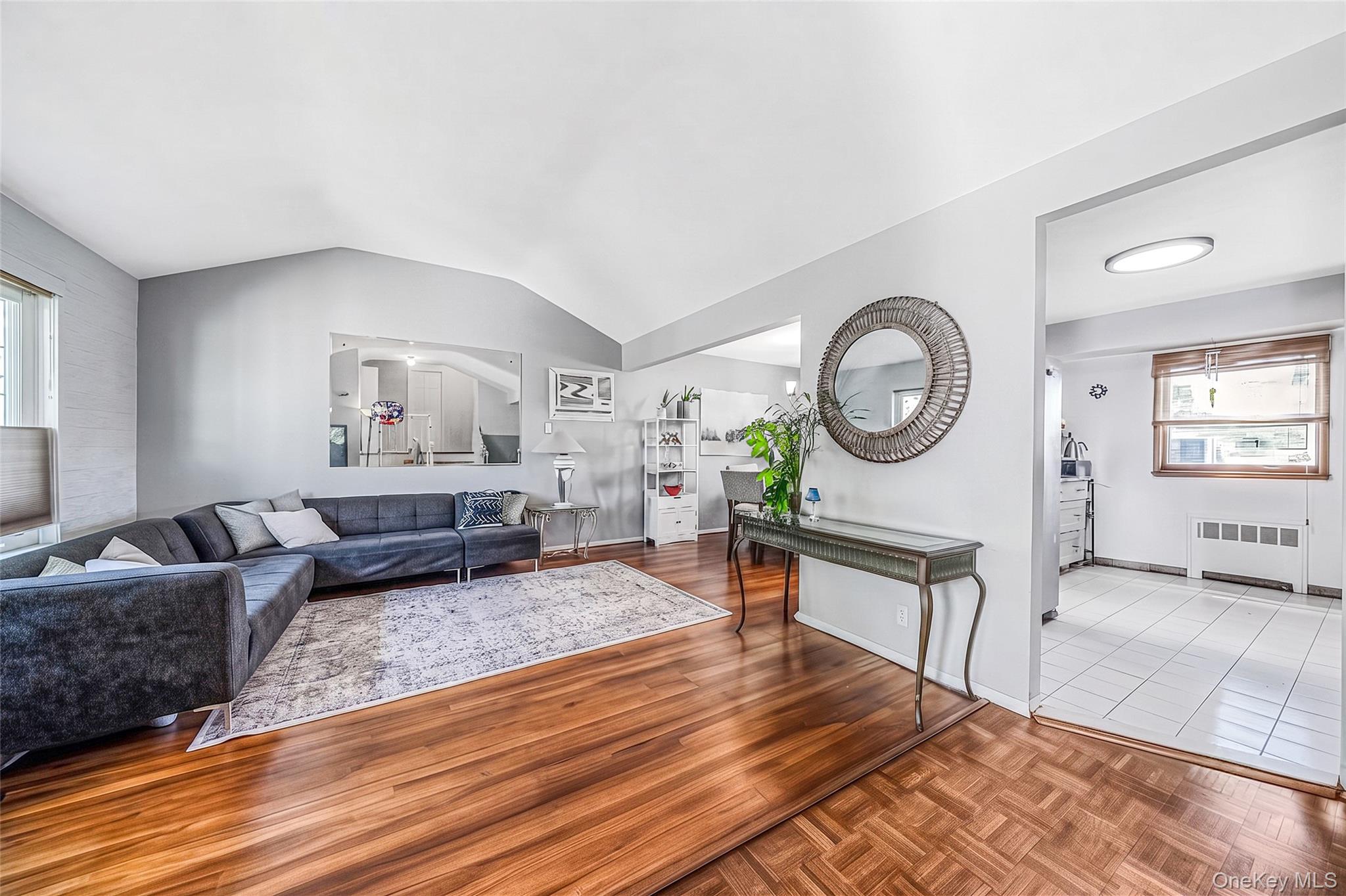 Single Family N Walnut Street  Nassau County, NY 11758, MLS-1045460-4