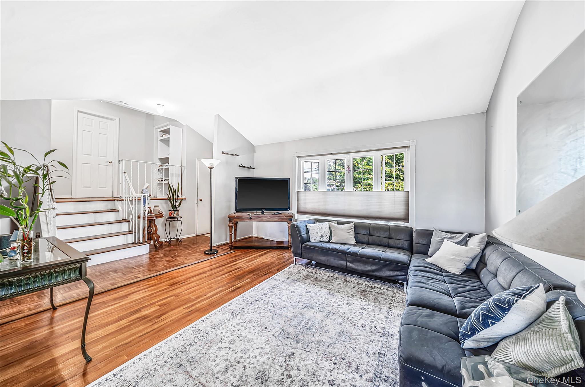 Single Family N Walnut Street  Nassau County, NY 11758, MLS-1045460-5