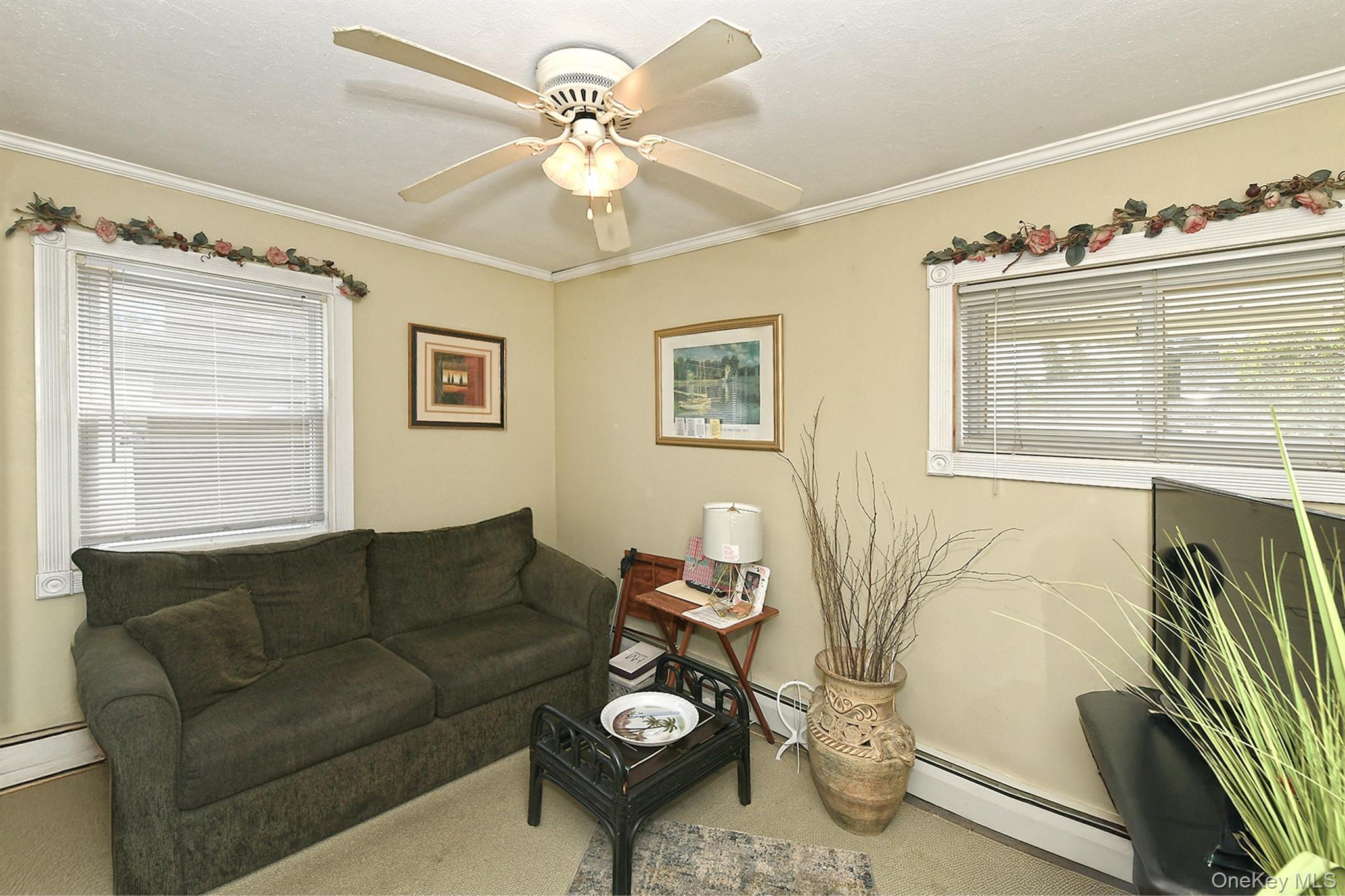 Single Family Woodcock Lane  Nassau County, NY 11756, MLS-1045472-13