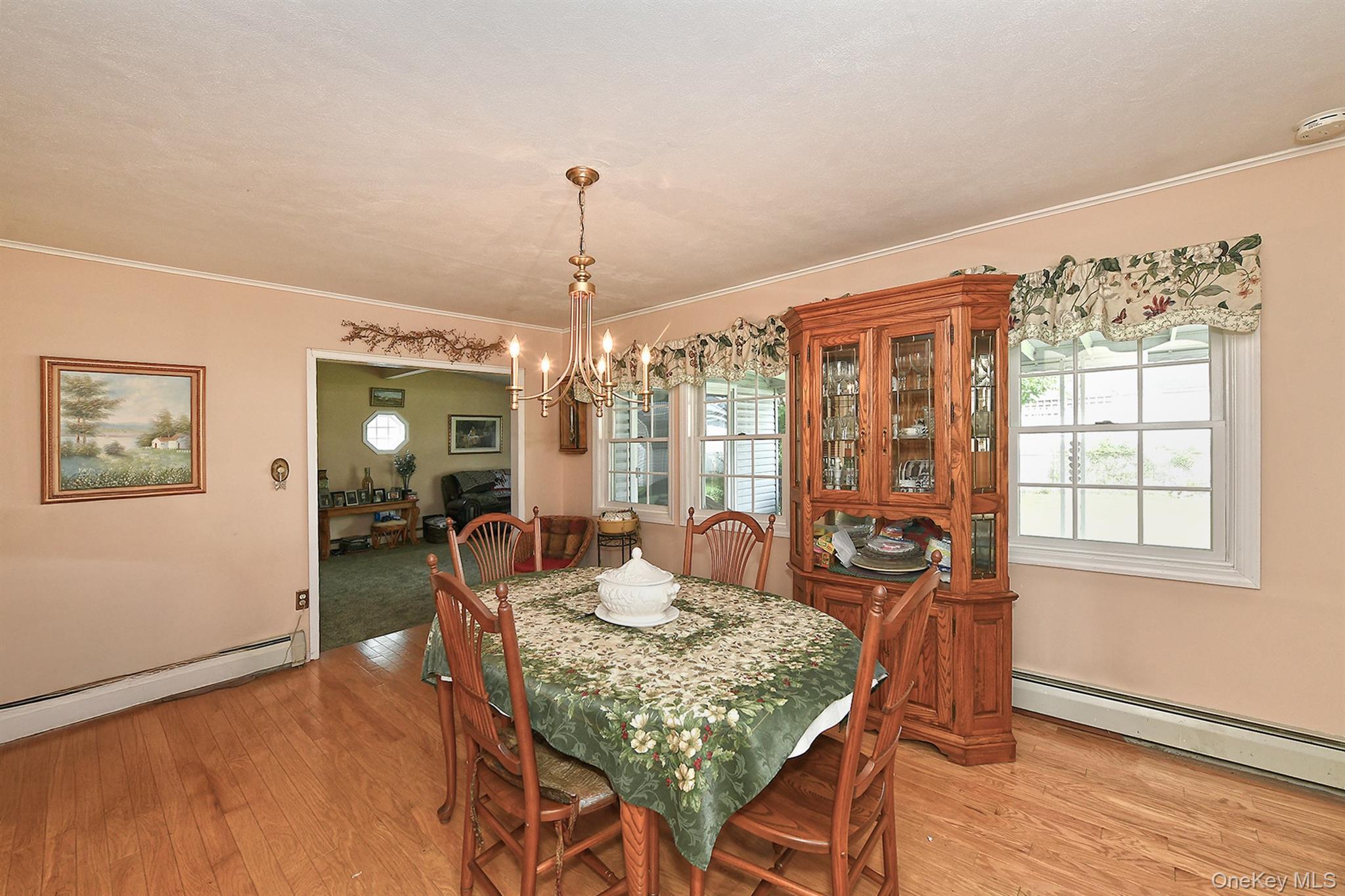 Single Family Woodcock Lane  Nassau County, NY 11756, MLS-1045472-9