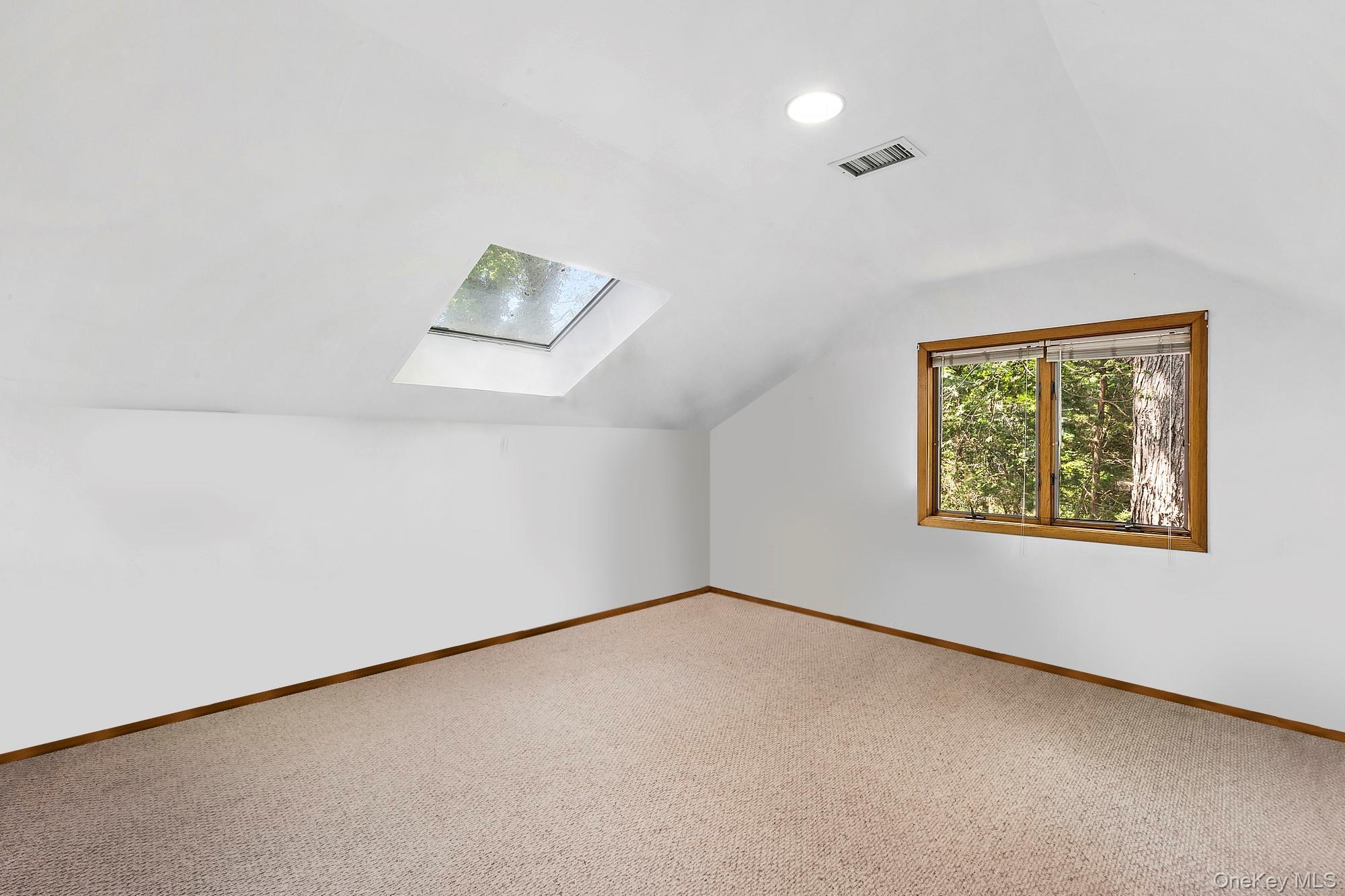 Single Family Hazelwood Avenue Suffolk County, NY 11978, MLS-1045487-9