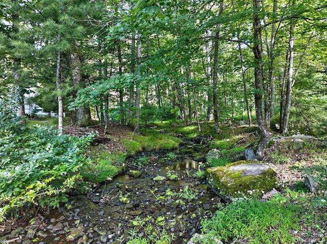 Single Family Airport Road Sullivan County, NY 12732, MLS-1045519-9