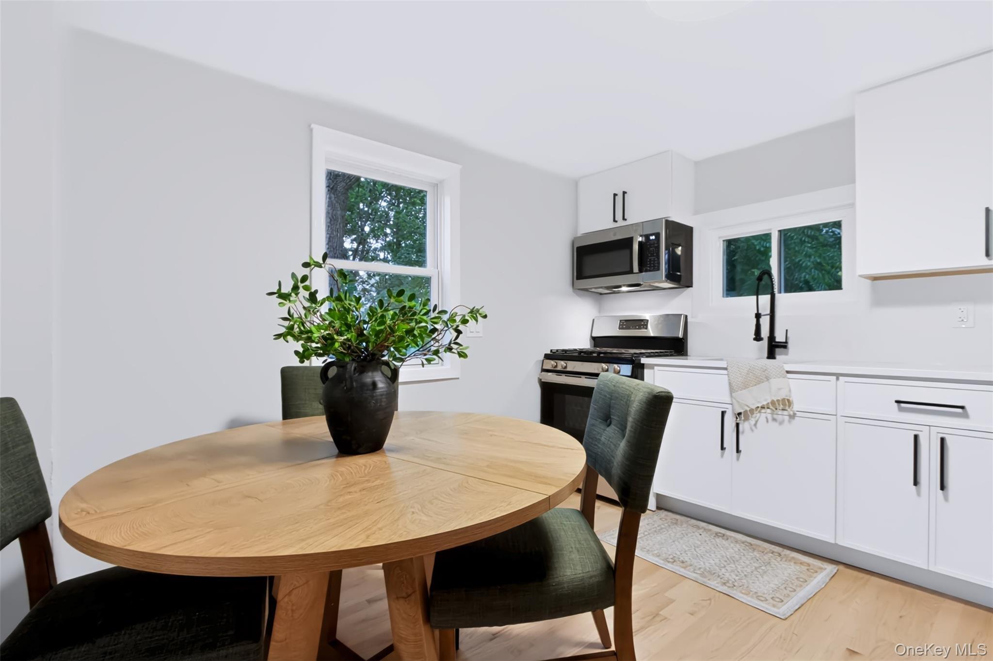 Single Family White Street  Orange County, NY 12550, MLS-1045532-10