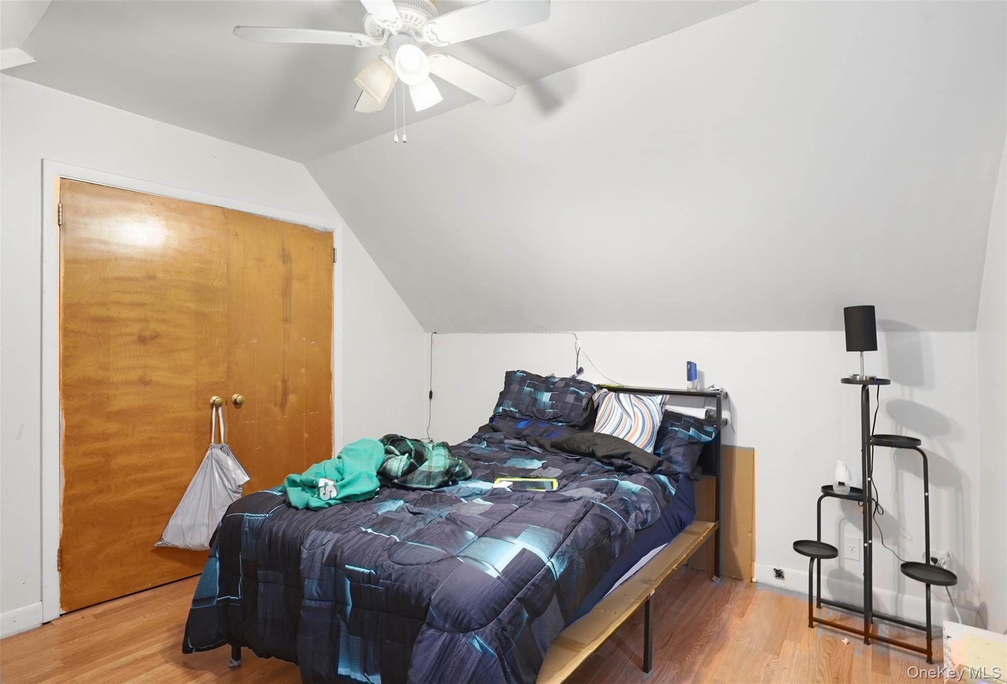 Single Family S Hamilton Street Dutchess County, NY 12601, MLS-1045579-32