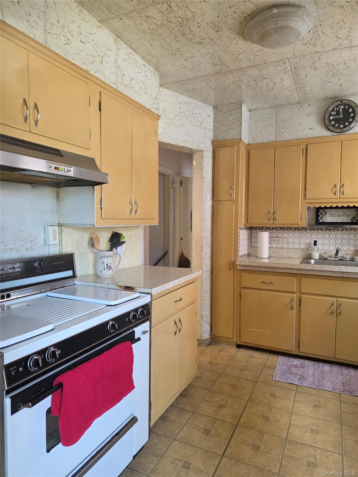 Single Family Underhill Avenue Queens, NY 11365, MLS-1045586-6