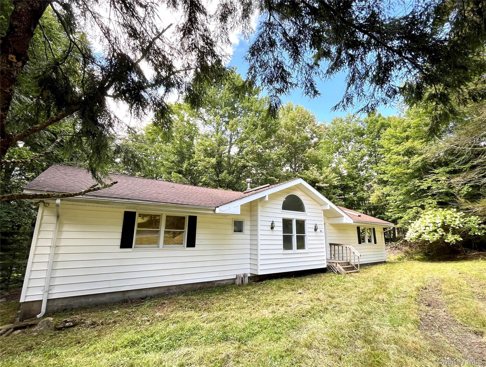 Single Family Browns Road Sullivan County, NY 12758, MLS-1045597-2