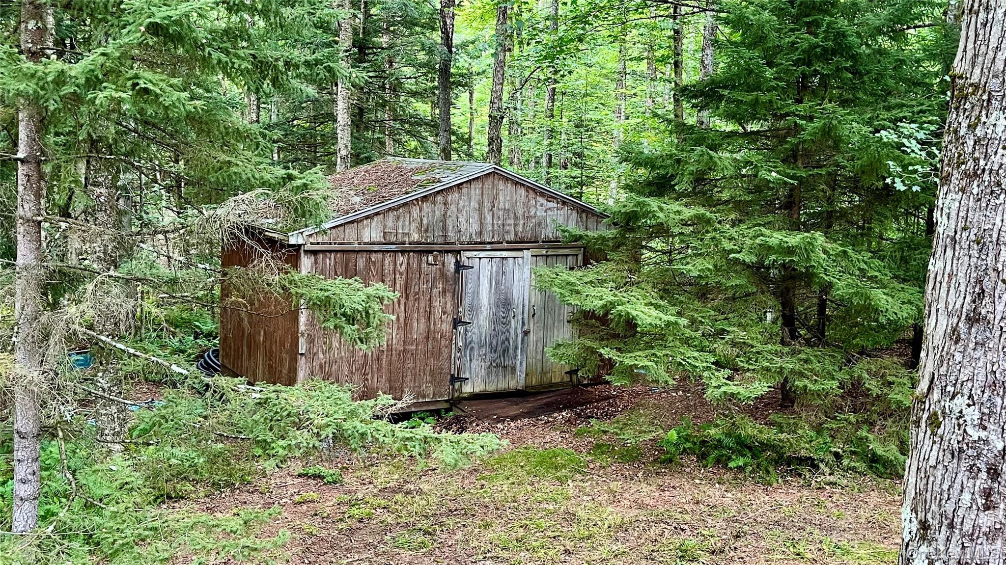 Single Family Browns Road Sullivan County, NY 12758, MLS-1045597-37