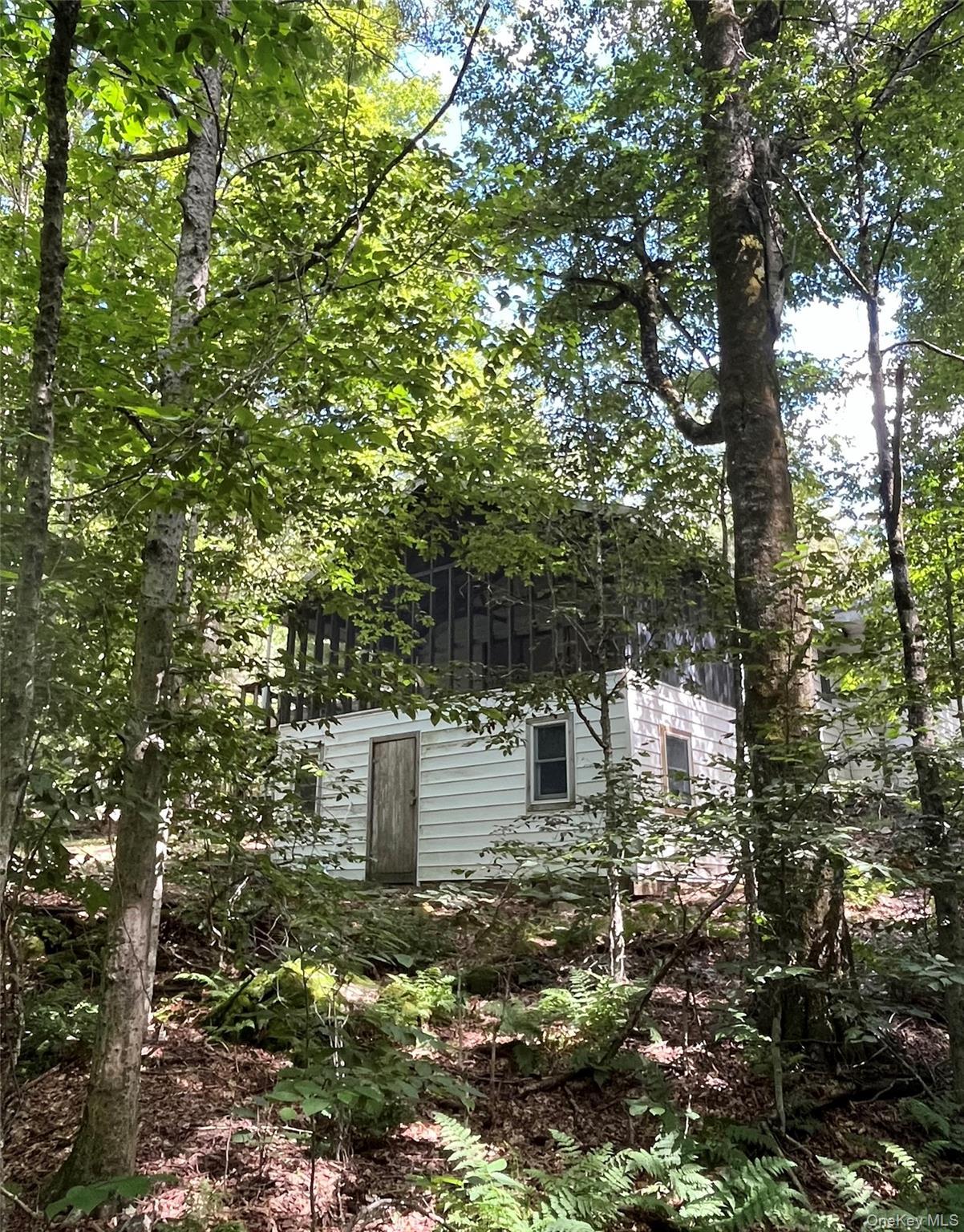 Single Family Browns Road Sullivan County, NY 12758, MLS-1045597-41