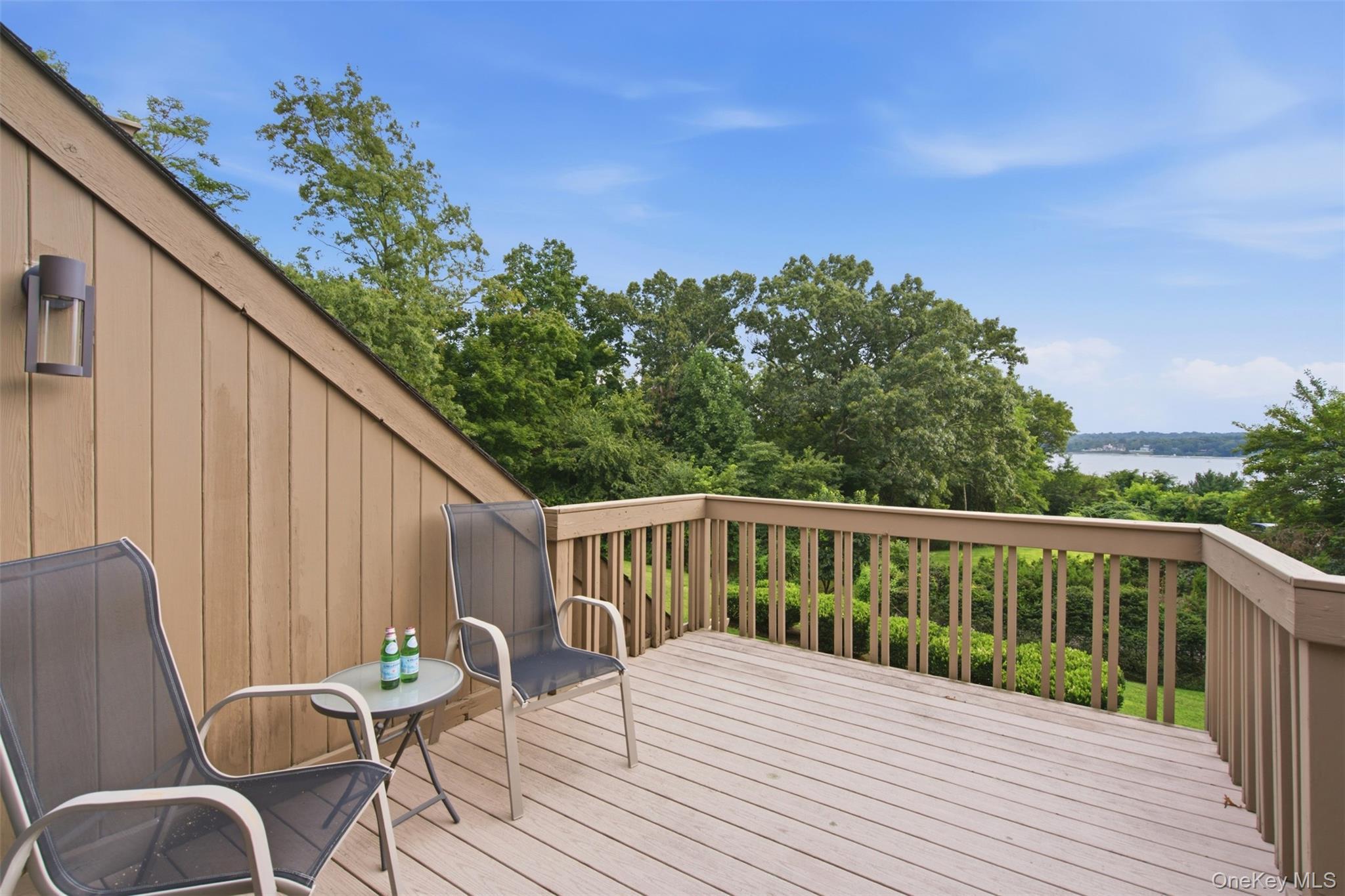 Single Family Target Rock Drive  Suffolk County, NY 11743, MLS-1045696-22