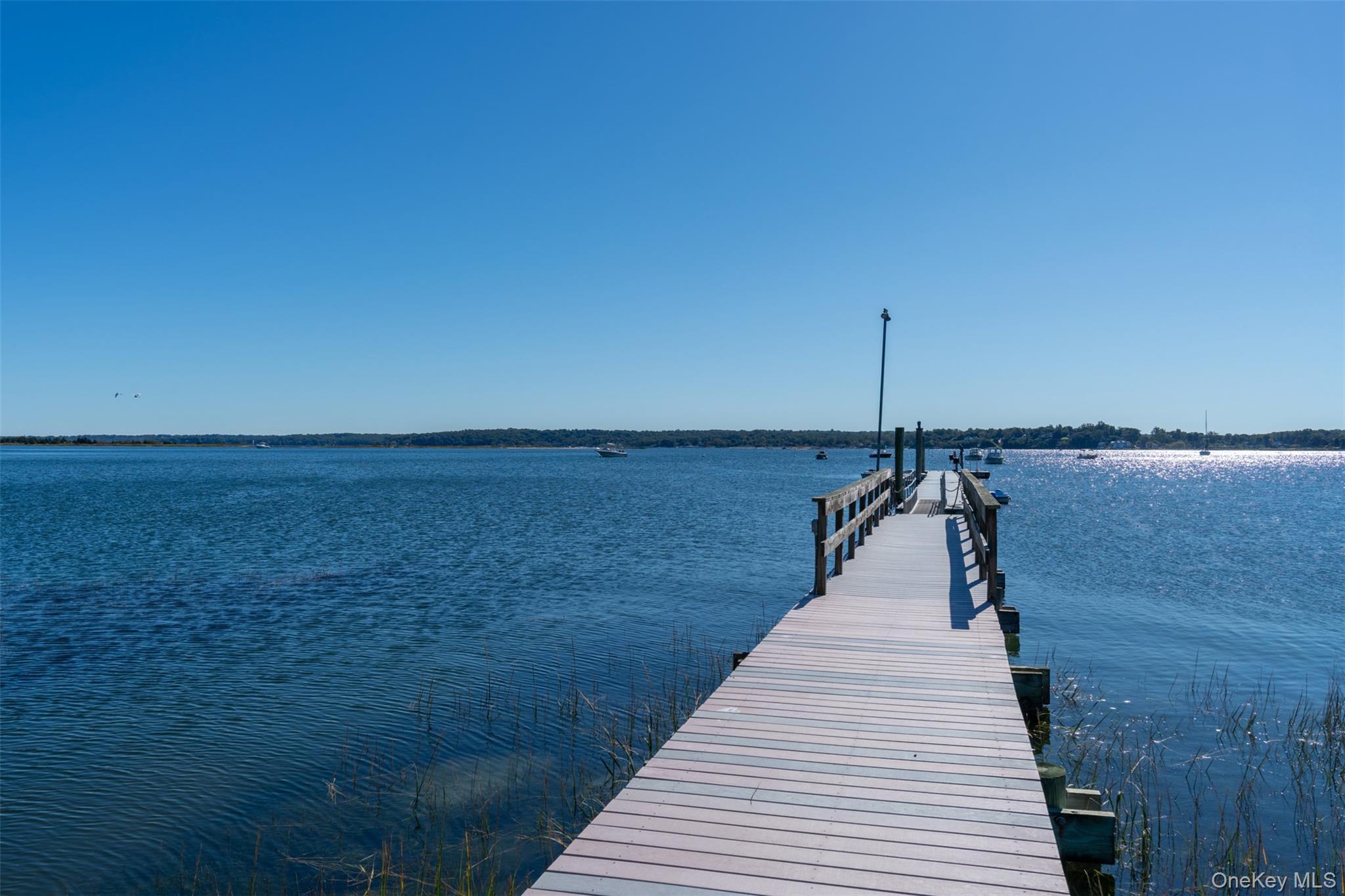 Single Family Target Rock Drive  Suffolk County, NY 11743, MLS-1045696-42