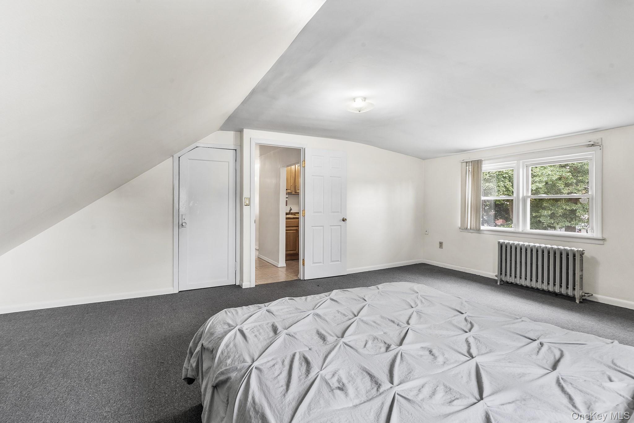 Single Family Charter Court Nassau County, NY 11553, MLS-1045726-26