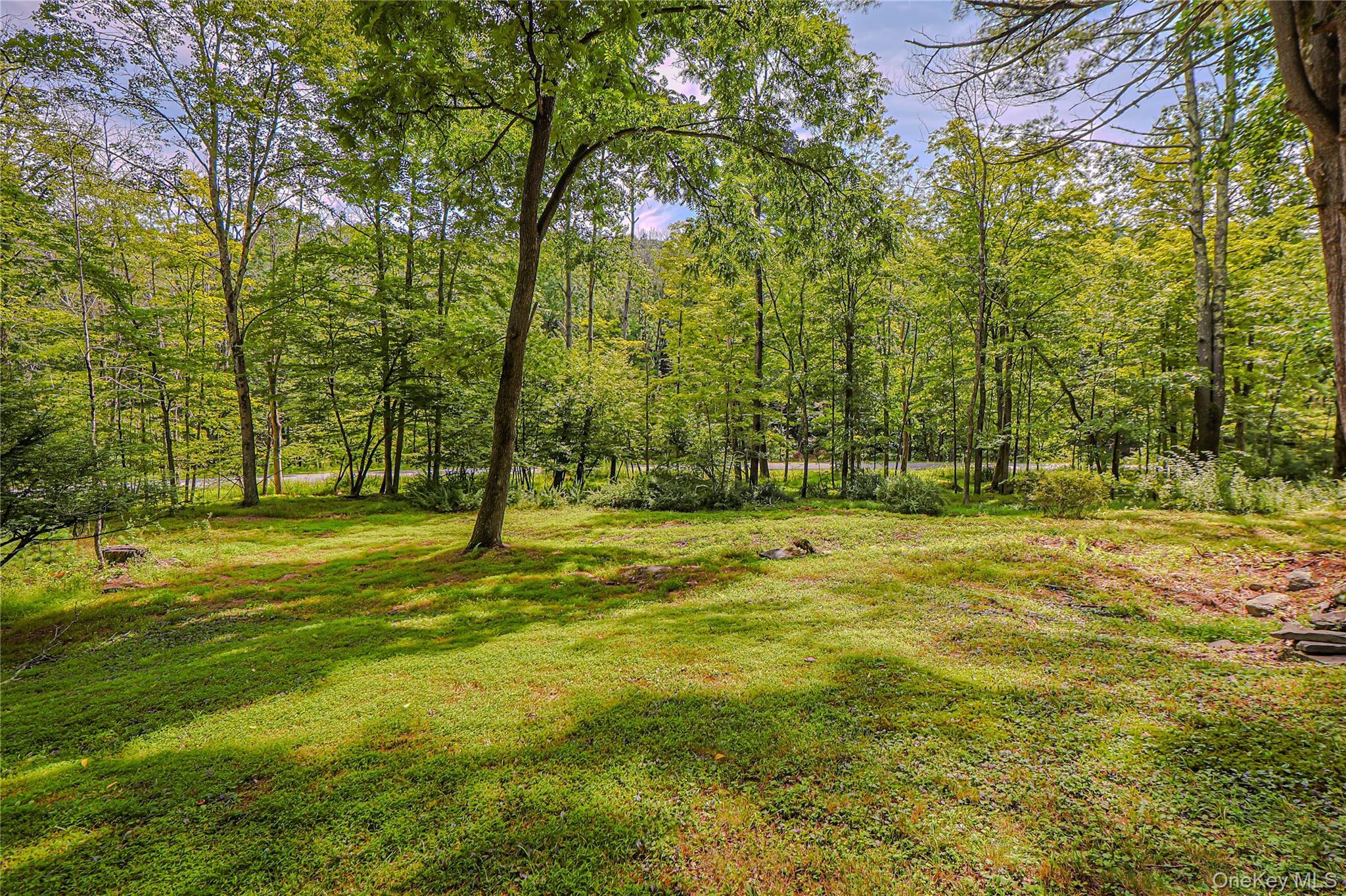 Single Family Dug Road Ulster County, NY 12404, MLS-1045747-10