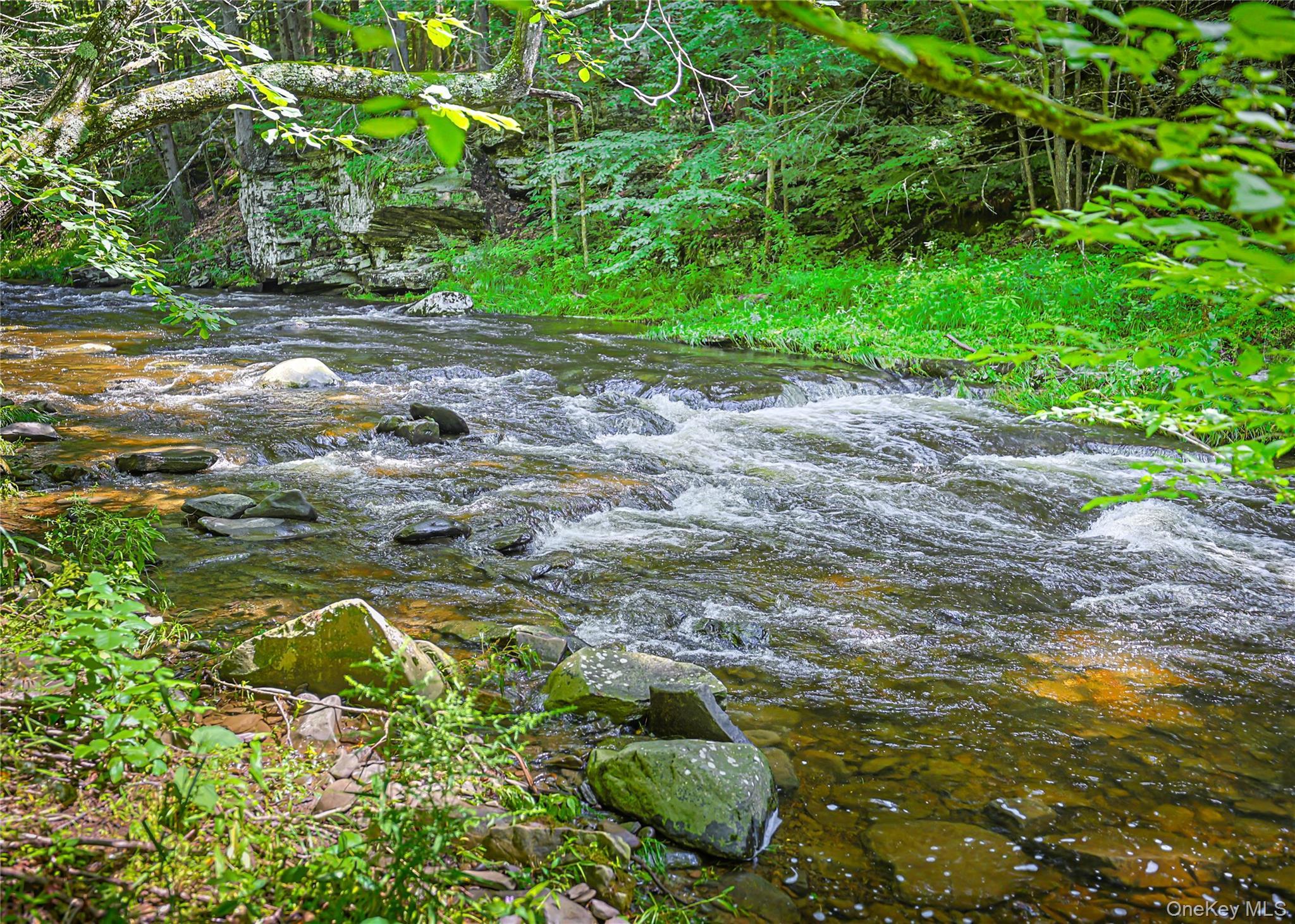 Single Family Dug Road Ulster County, NY 12404, MLS-1045747-12