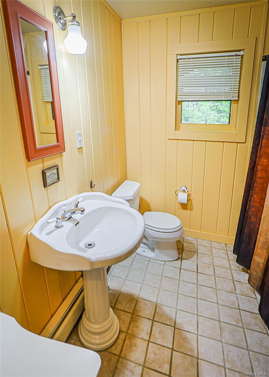 Single Family Dug Road Ulster County, NY 12404, MLS-1045747-23