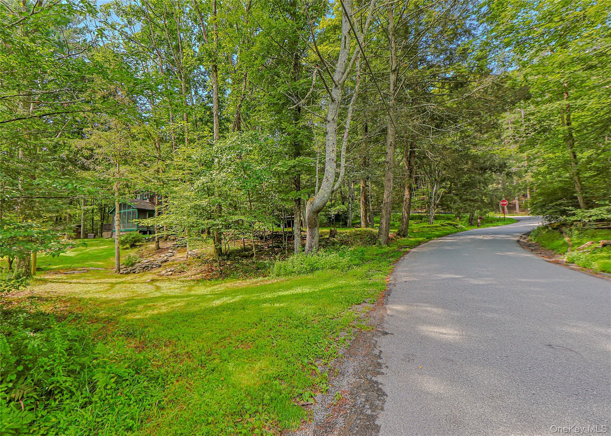 Single Family Dug Road Ulster County, NY 12404, MLS-1045747-38