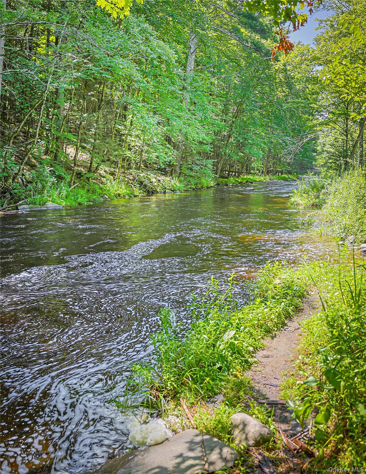 Single Family Dug Road Ulster County, NY 12404, MLS-1045747-39