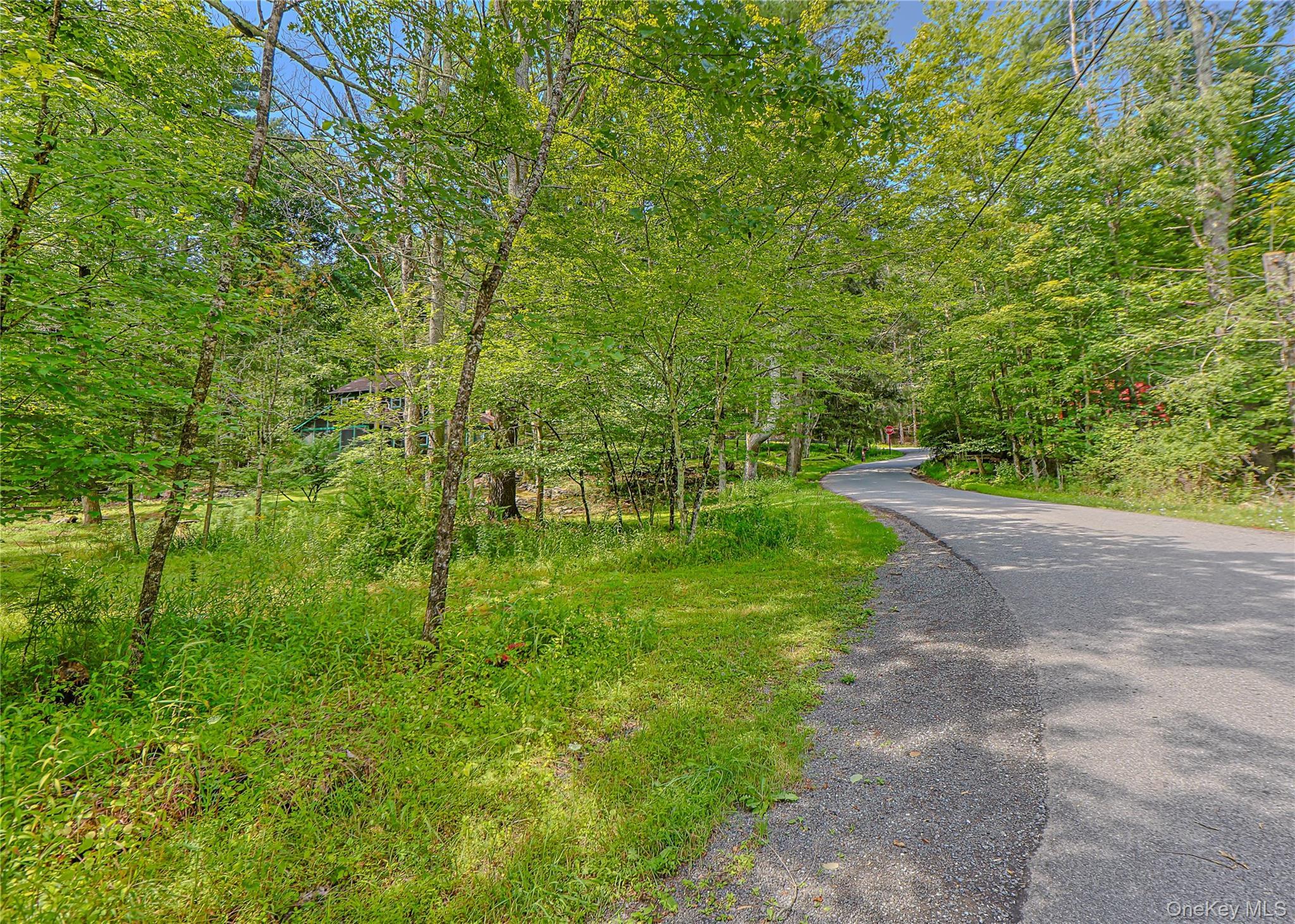 Single Family Dug Road Ulster County, NY 12404, MLS-1045747-40
