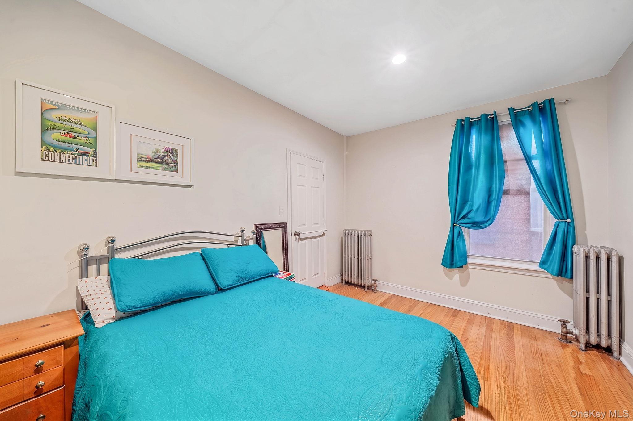 Single Family Hale Ave Brooklyn, NY 11208, MLS-1045774-10