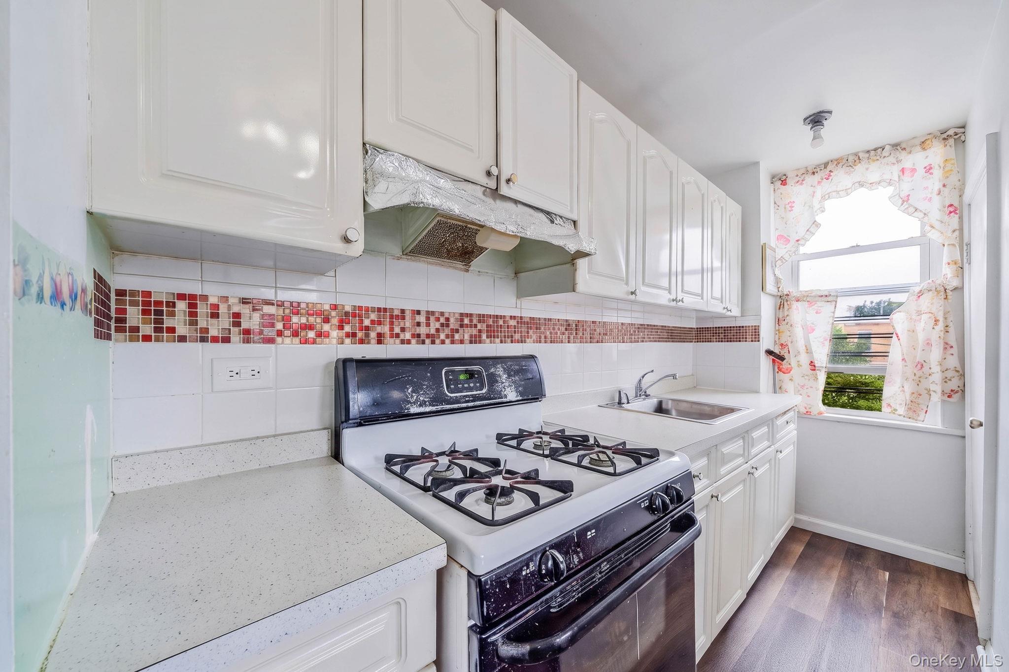 Single Family Hale Ave Brooklyn, NY 11208, MLS-1045774-14