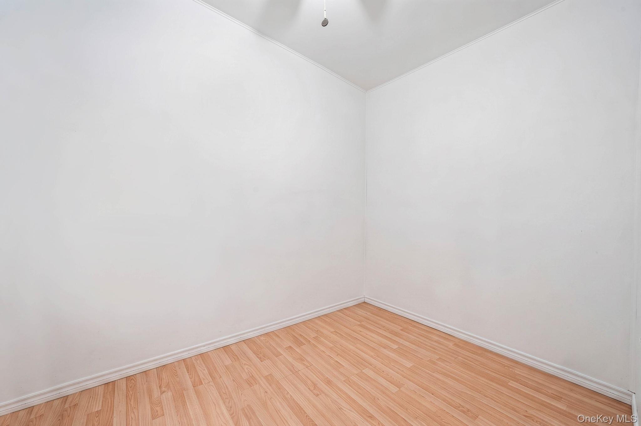 Single Family Hale Ave Brooklyn, NY 11208, MLS-1045774-19
