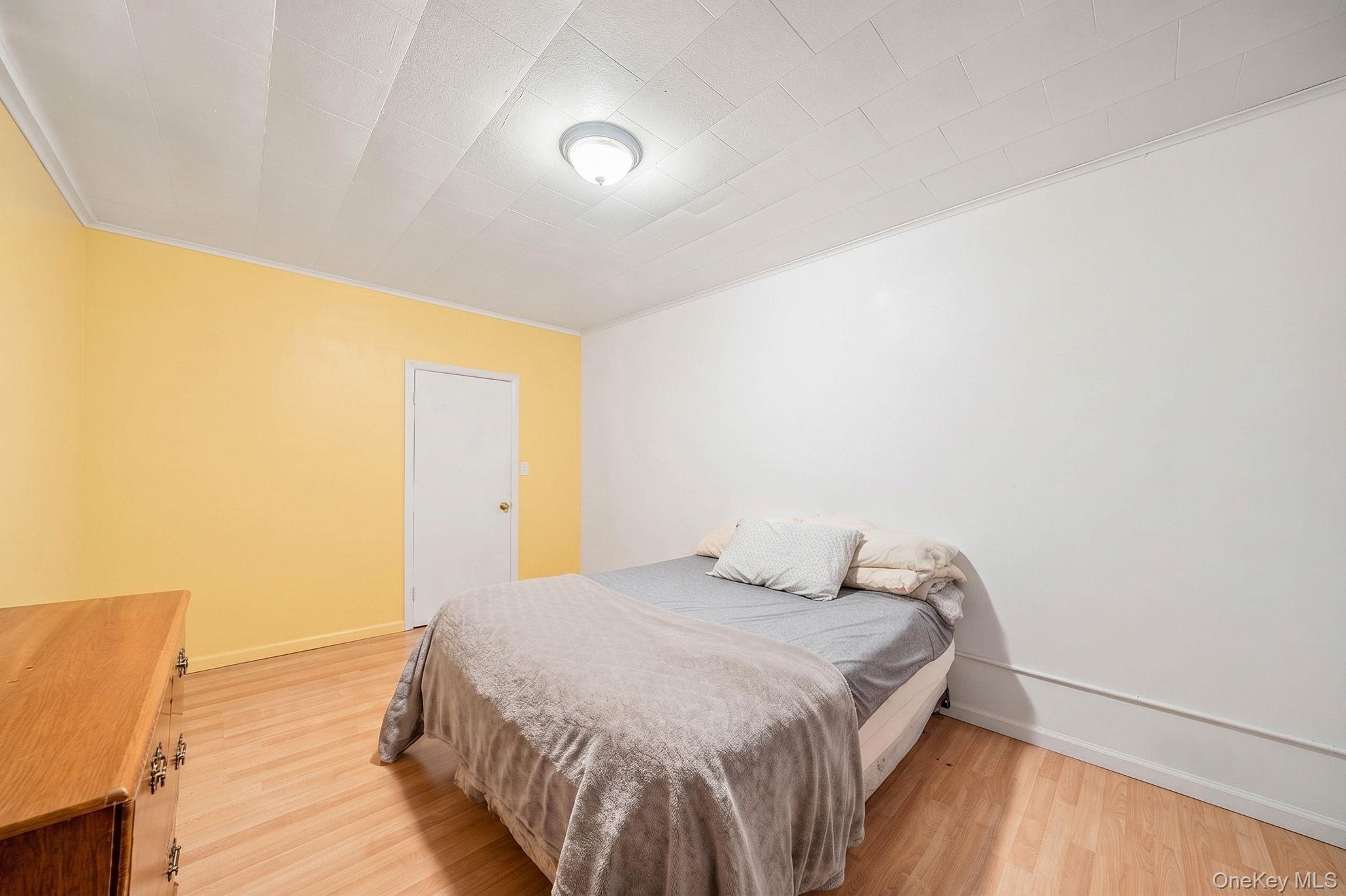 Single Family Hale Ave Brooklyn, NY 11208, MLS-1045774-21