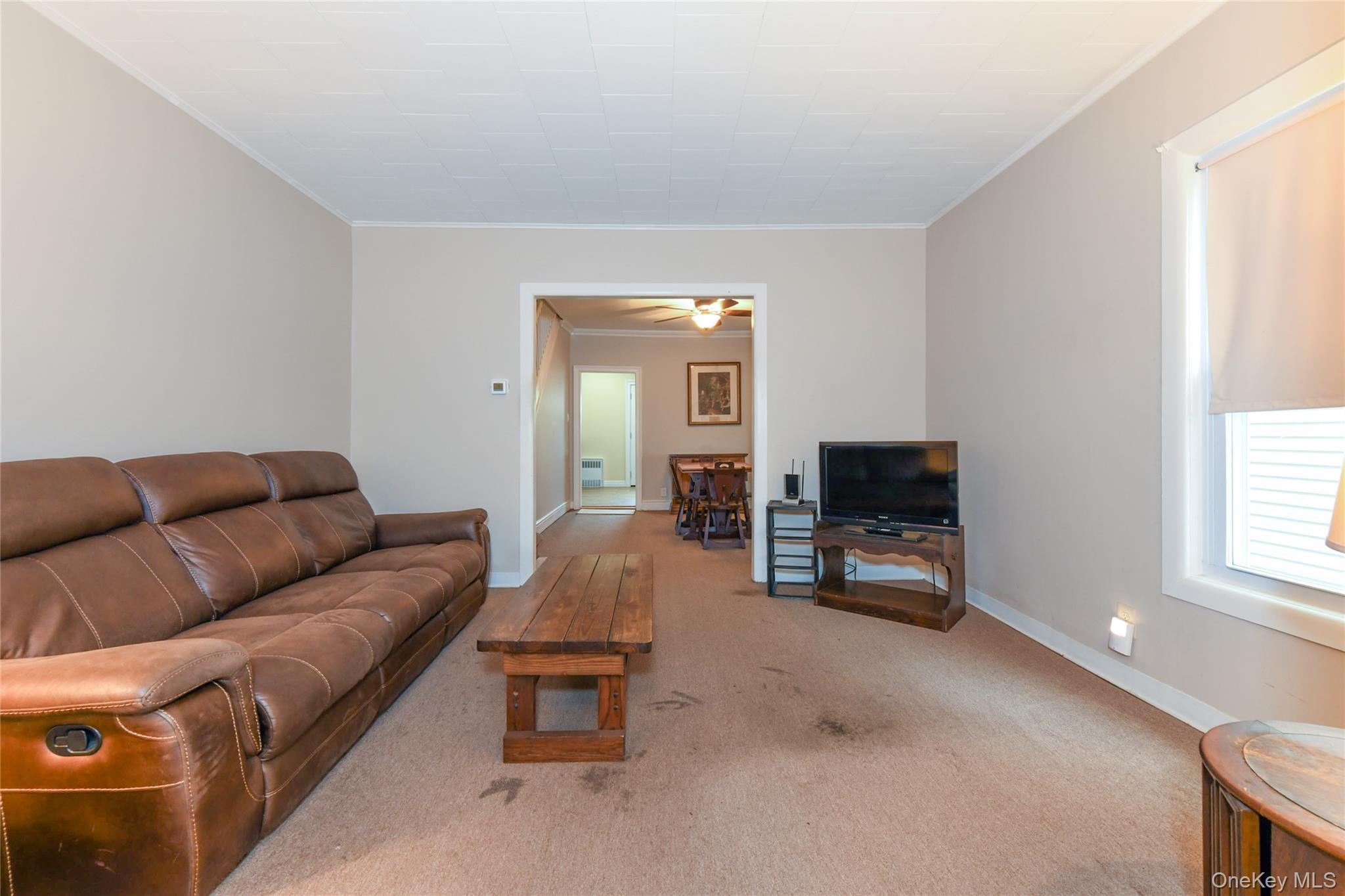 Single Family Sutter Avenue Queens, NY 11417, MLS-1045784-10