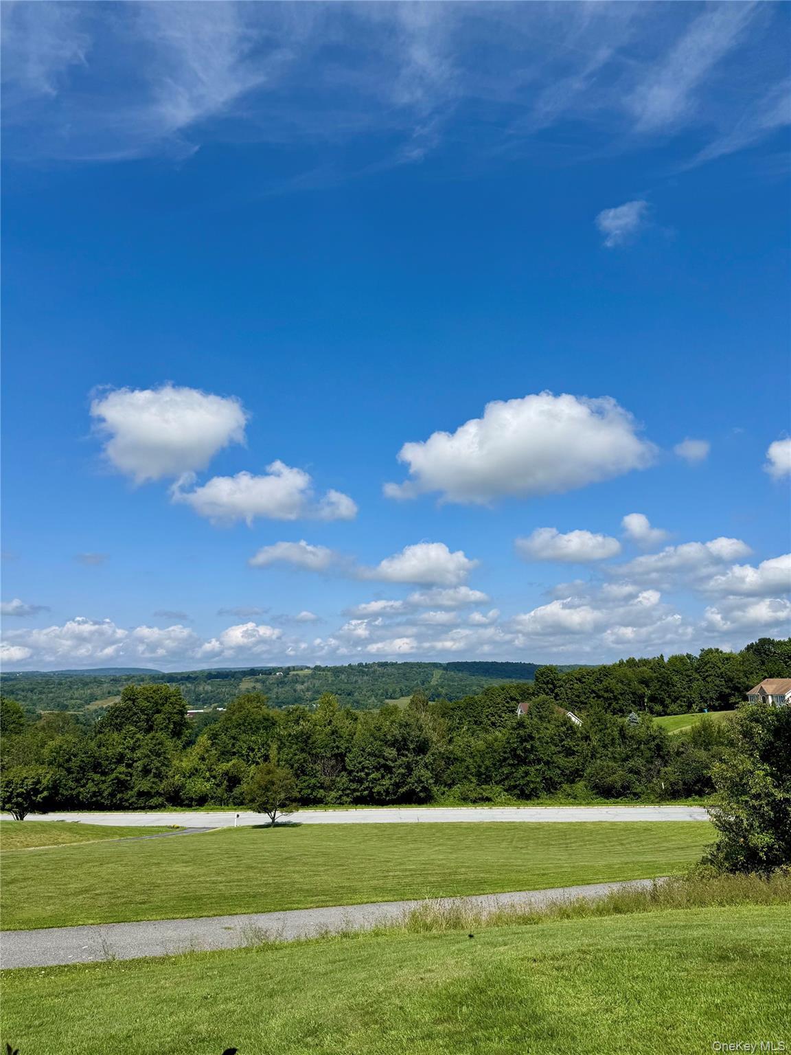 Single Family Bender Road Orange County, NY 10998, MLS-1045844-9