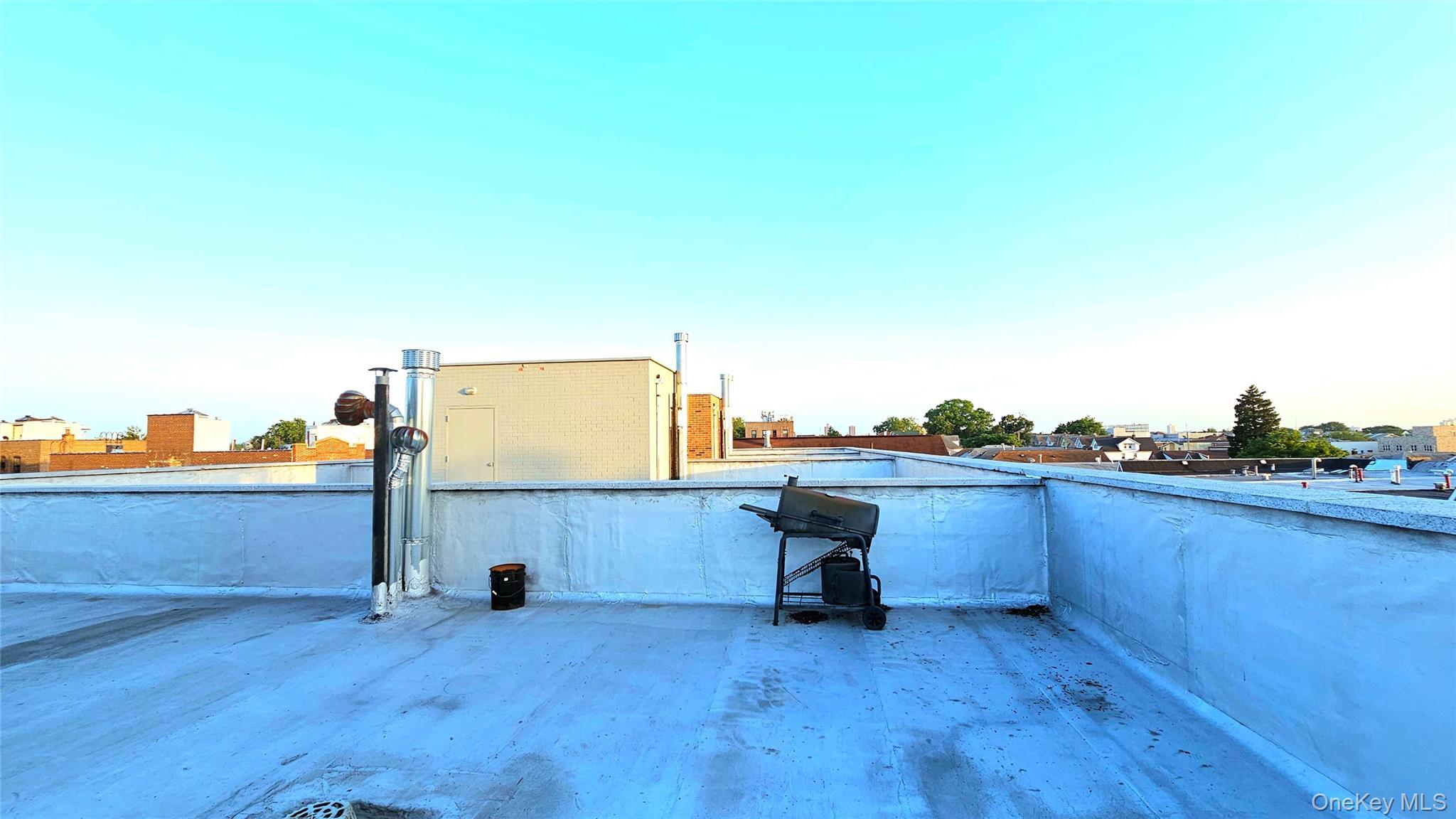 Single Family 164 Street Queens, NY 11358, MLS-1045848-24