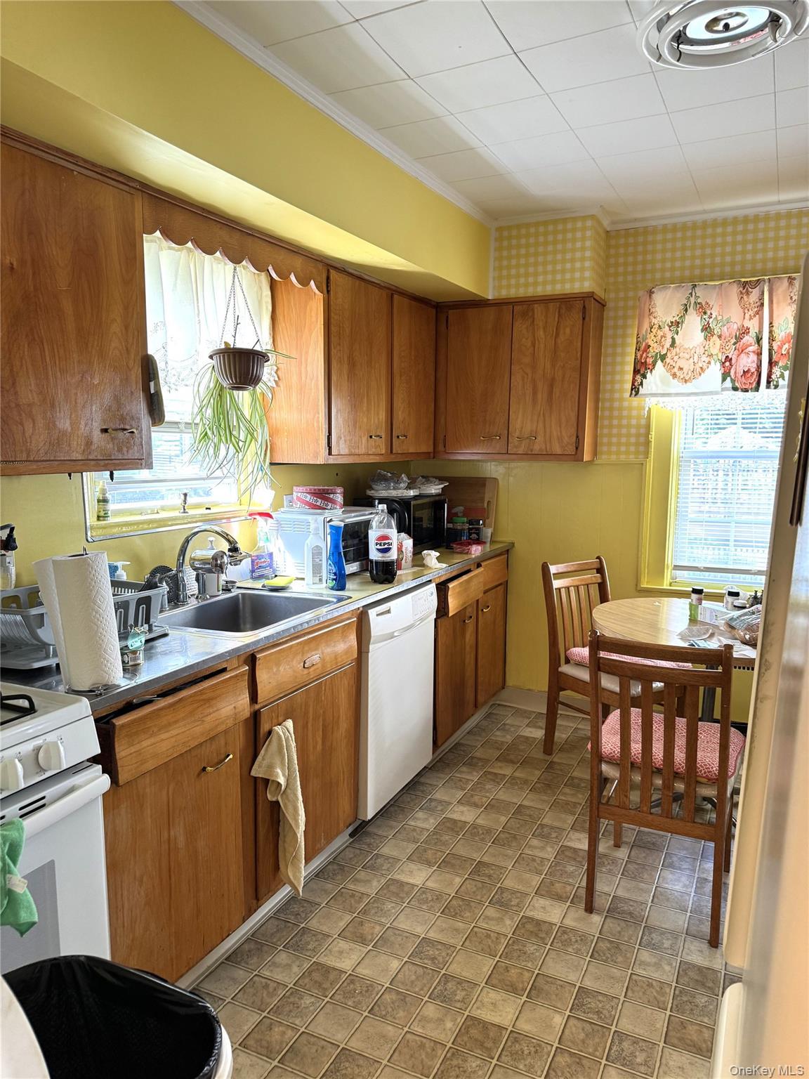 Single Family Elaine Terrace Westchester County, NY 10701, MLS-1045881-11