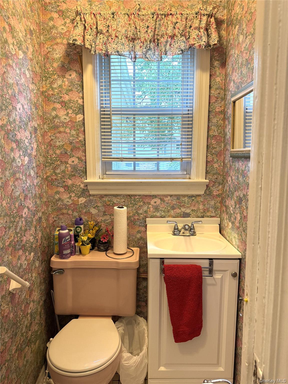 Single Family Elaine Terrace Westchester County, NY 10701, MLS-1045881-14