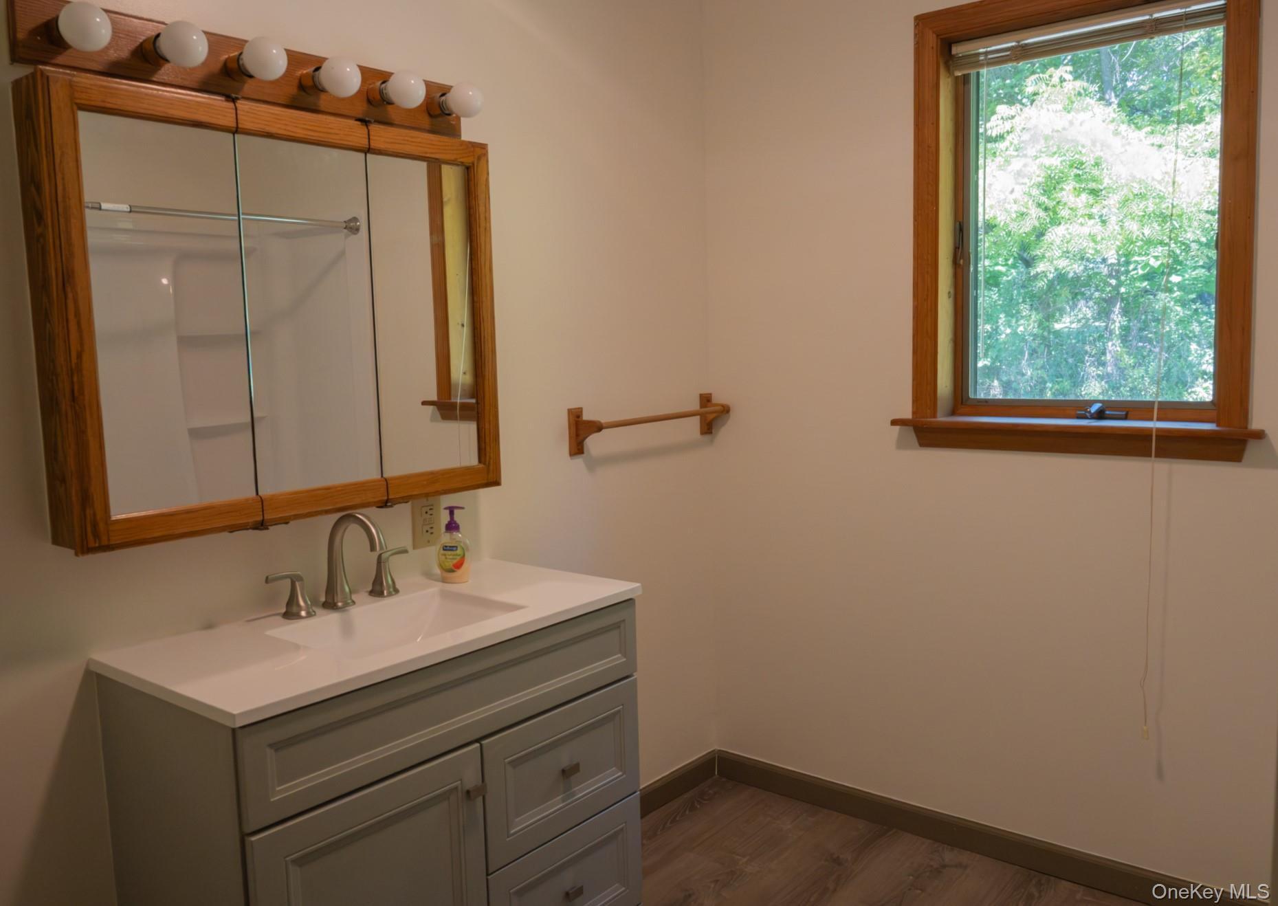Single Family Waters Drive  Ulster County, NY 12484, MLS-1045918-21