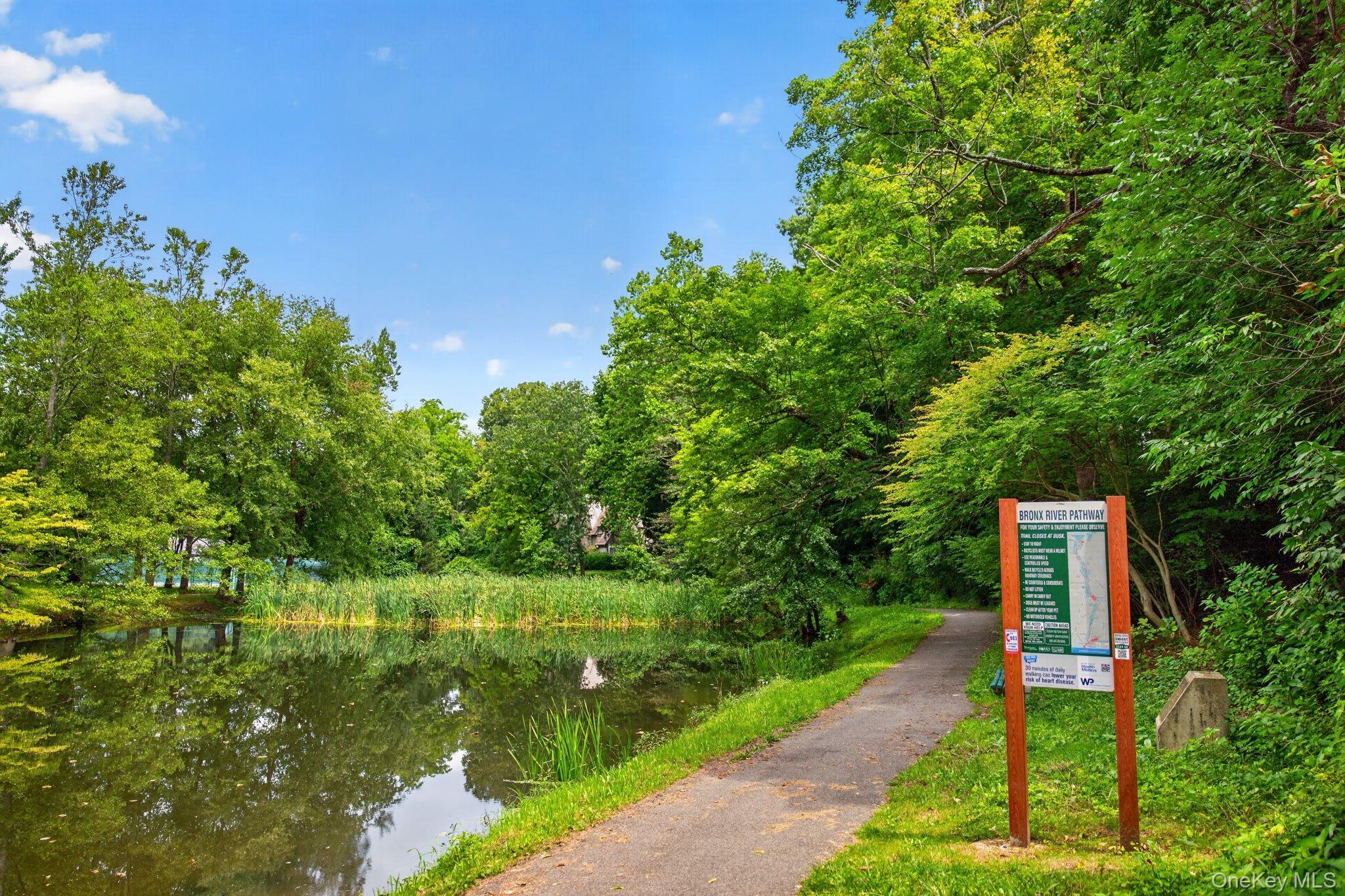 Single Family S Longfellow Street  Westchester County, NY 10530, MLS-1045927-44