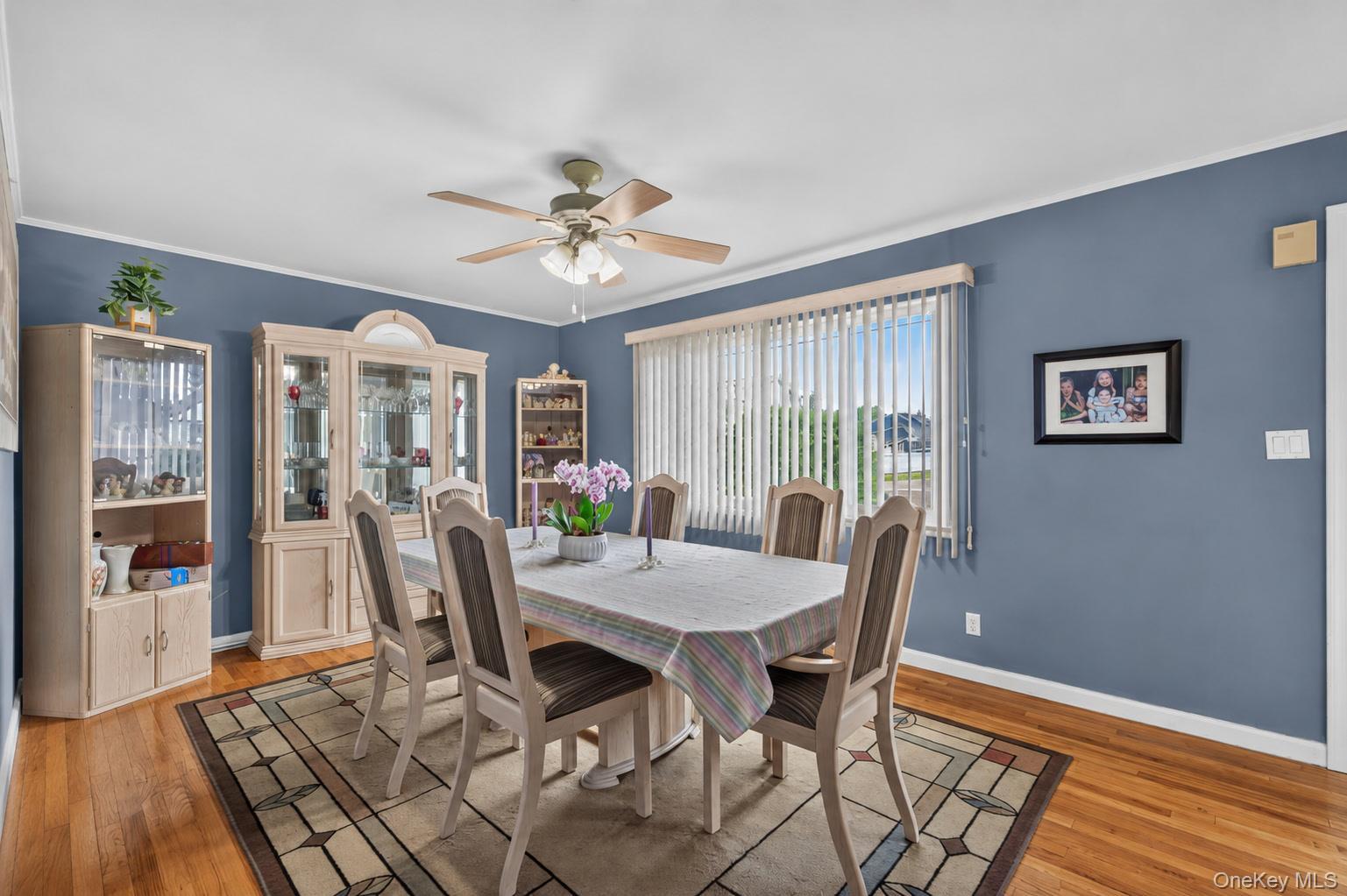 Single Family Park Lane  Nassau County, NY 11758, MLS-1045932-9