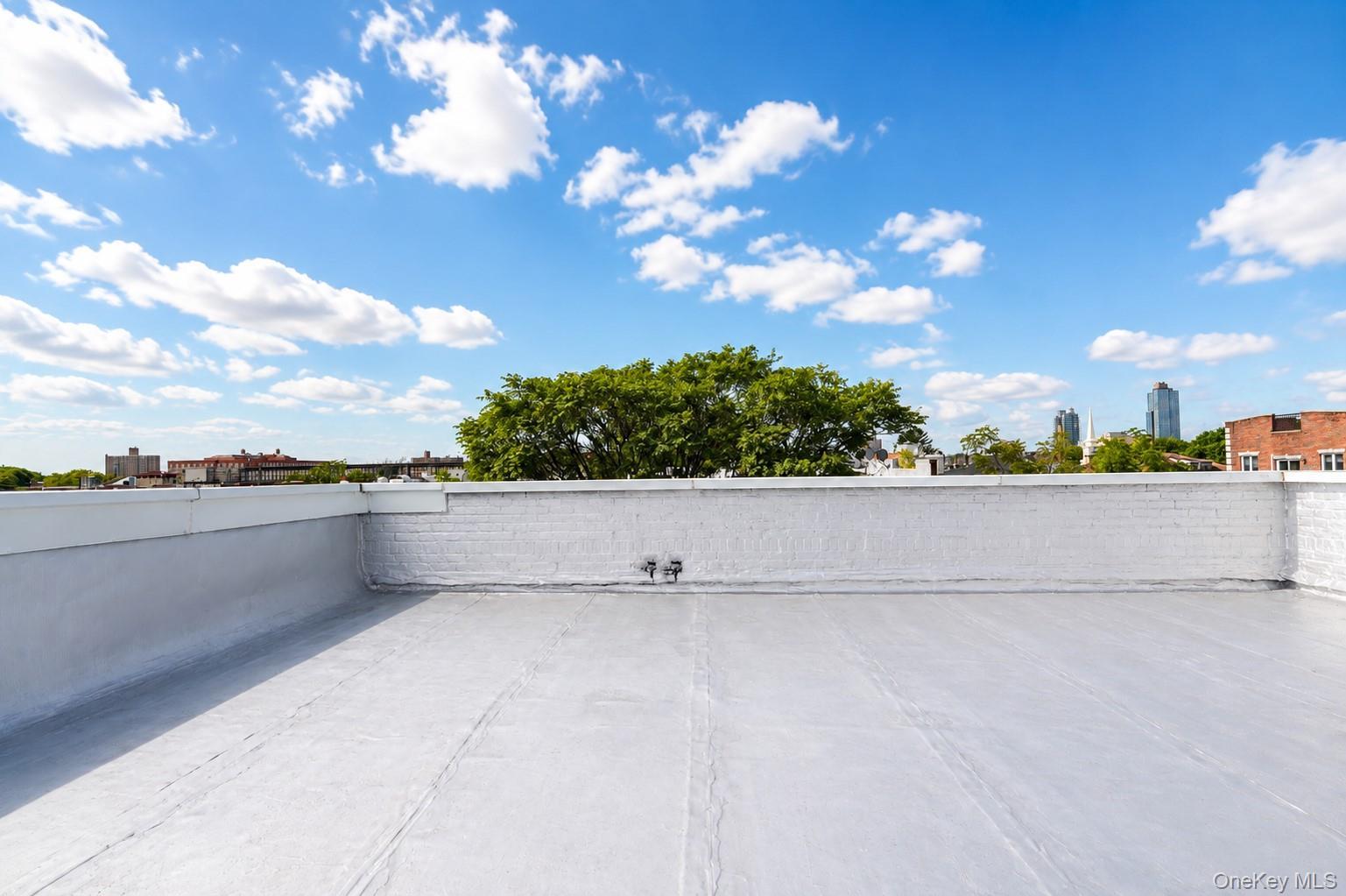 Single Family 84th Street Brooklyn, NY 11214, MLS-1045974-25