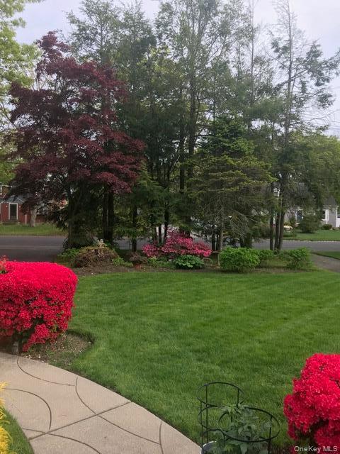 Single Family Nicolls Road Suffolk County, NY 11729, MLS-1045991-5