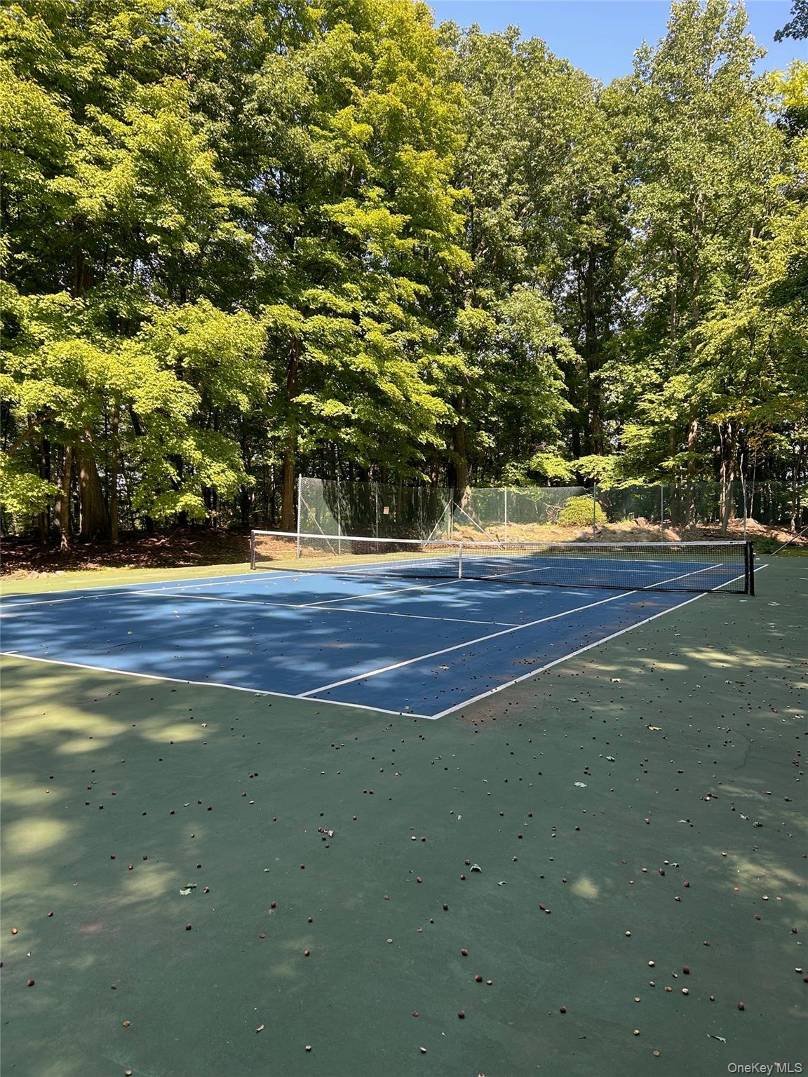 Single Family Bramblebush Road  Westchester County, NY 10520, MLS-1046026-50