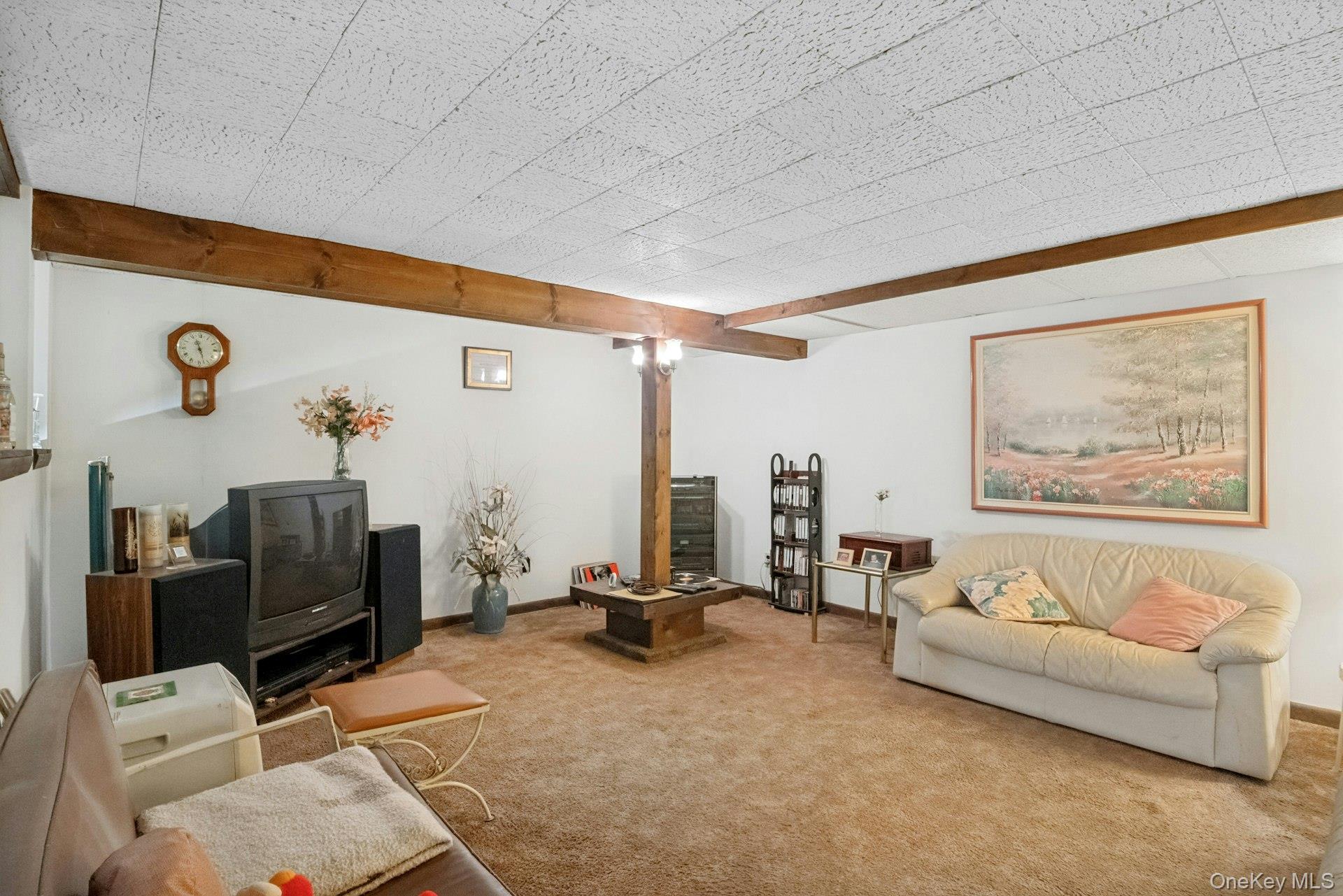 Single Family Pythian Avenue  Westchester County, NY 10532, MLS-1046032-13