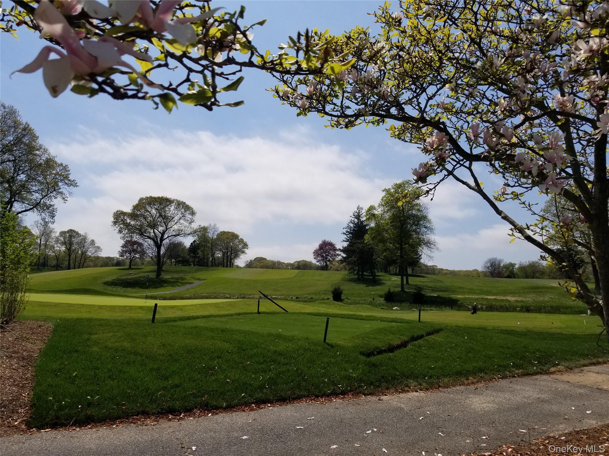 Single Family Waterview Drive Suffolk County, NY 11777, MLS-1046184-32