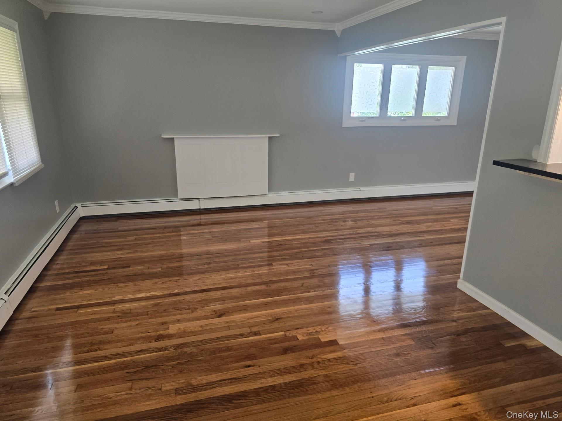 Single Family Mason Street  Nassau County, NY 11550, MLS-1046200-3