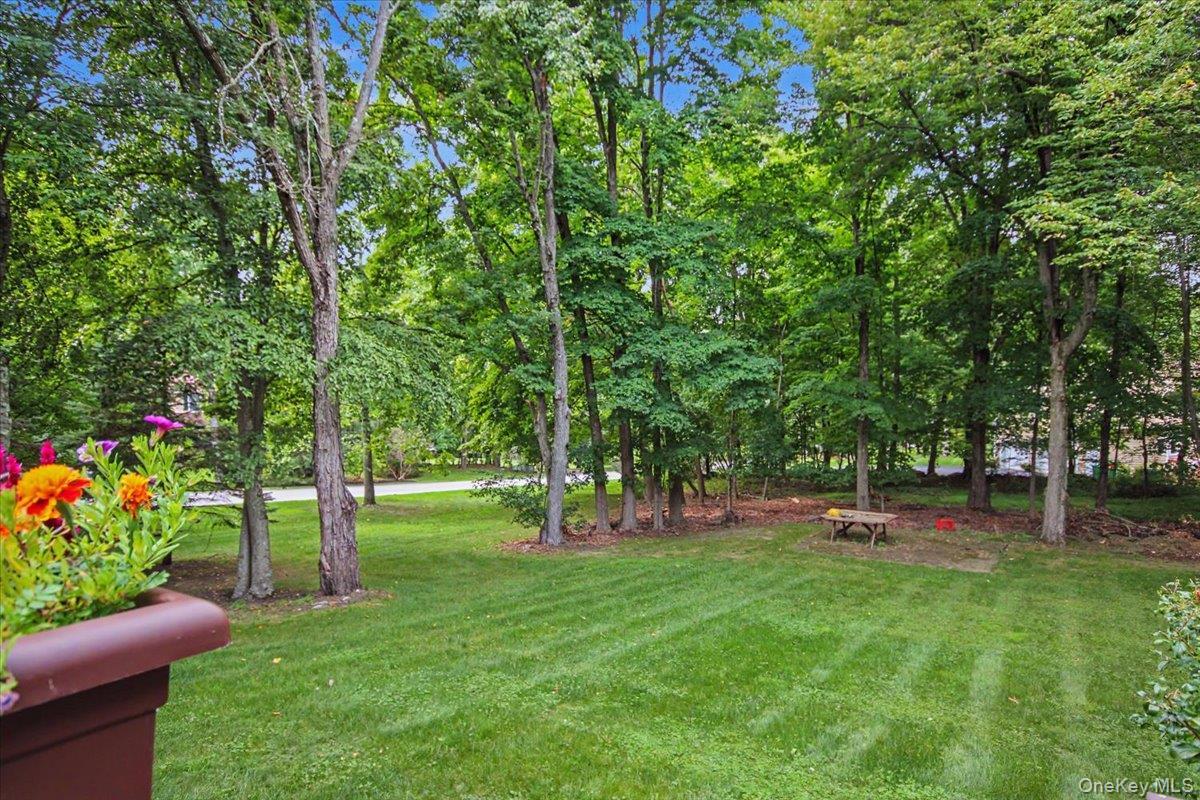Single Family Harden Drive  Dutchess County, NY 12540, MLS-1046205-22