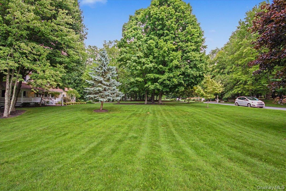 Single Family Harden Drive  Dutchess County, NY 12540, MLS-1046205-4